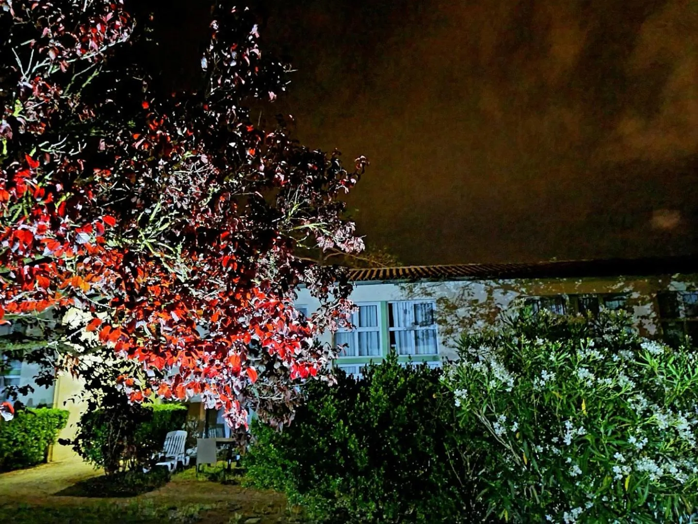 Garden in Appartement 91 Palais des Gouverneurs