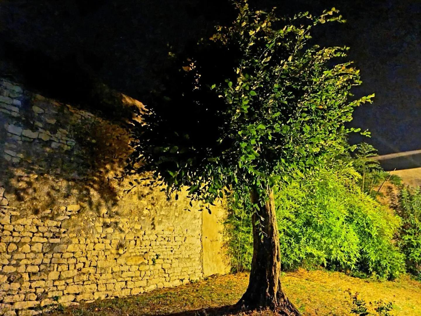 Garden in Appartement 91 Palais des Gouverneurs