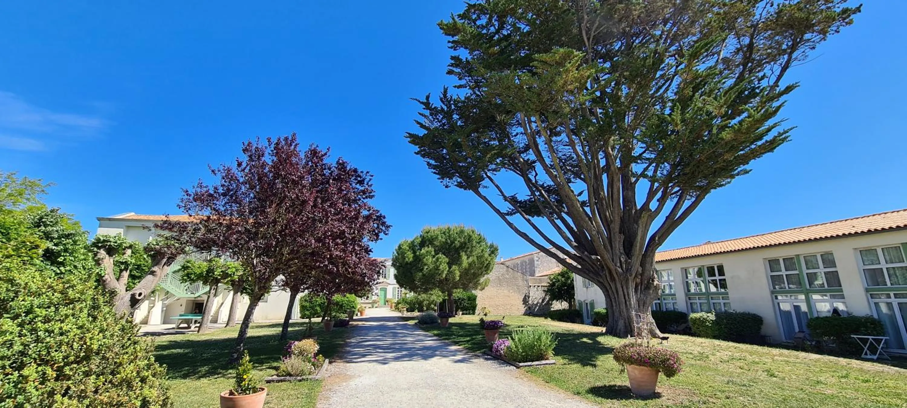 Garden in Appartement 91 Palais des Gouverneurs