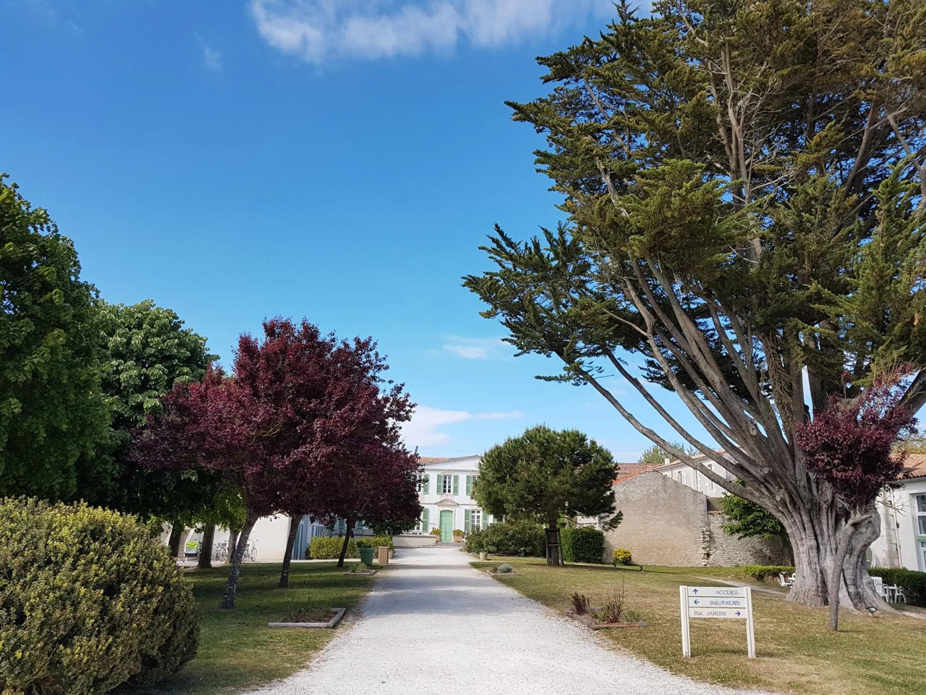 Garden in Appartement 91 Palais des Gouverneurs