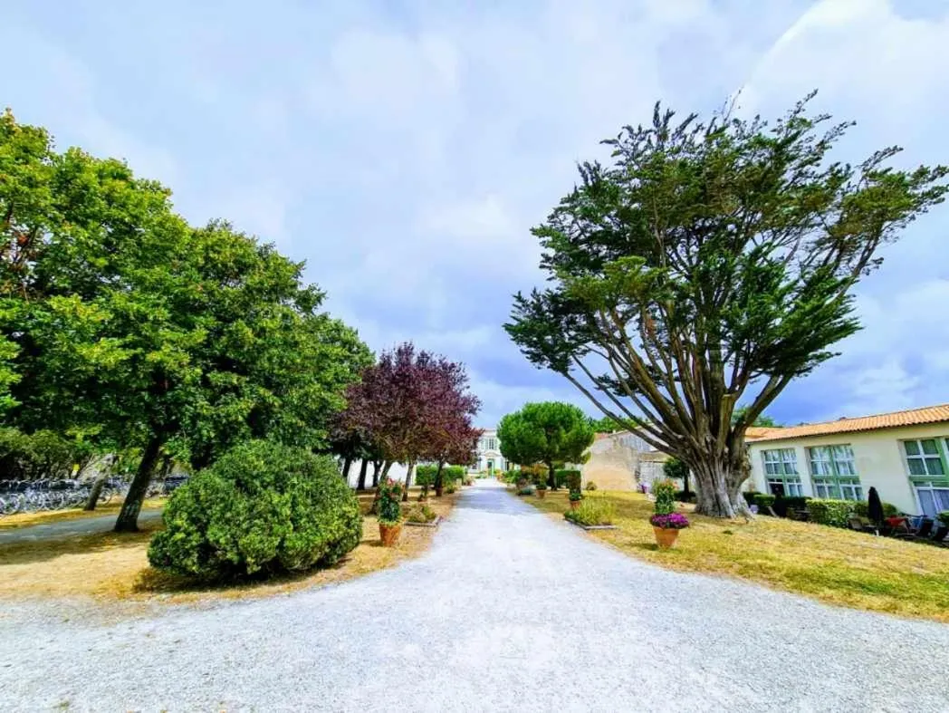 Garden in Appartement 91 Palais des Gouverneurs