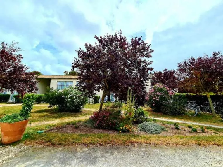 Garden in Appartement 91 Palais des Gouverneurs