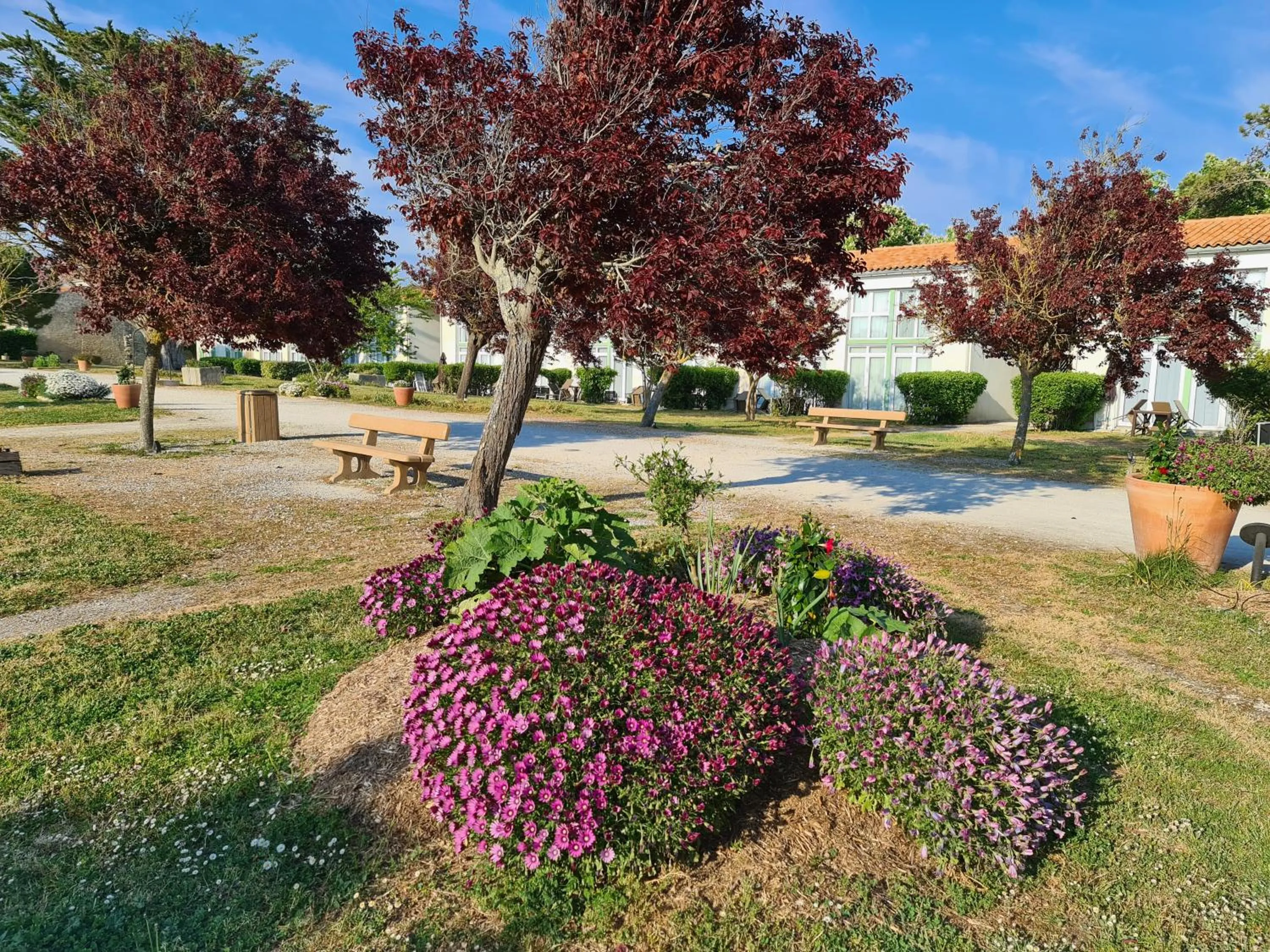 Garden in Appartement 91 Palais des Gouverneurs