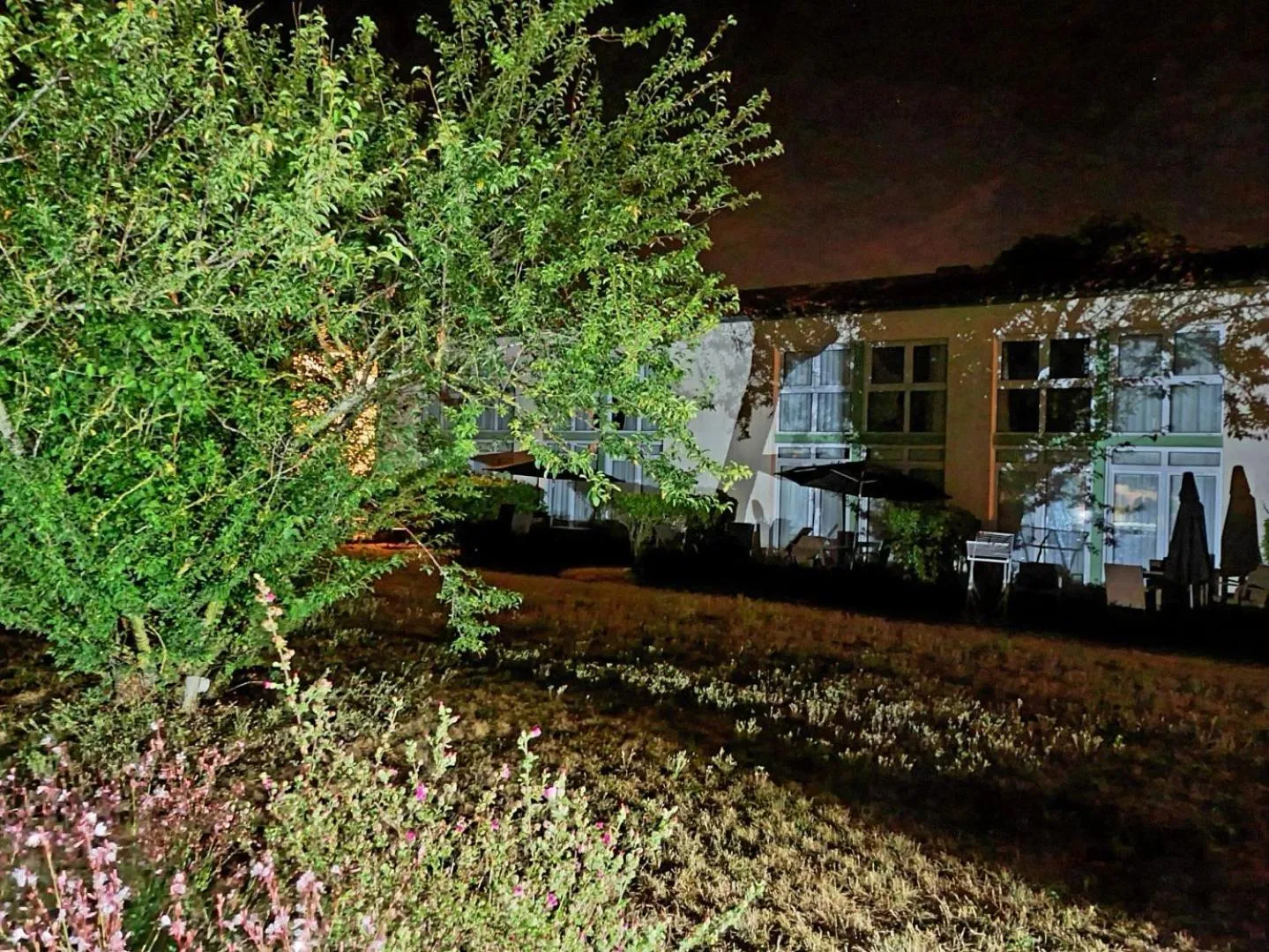 Garden in Appartement 91 Palais des Gouverneurs