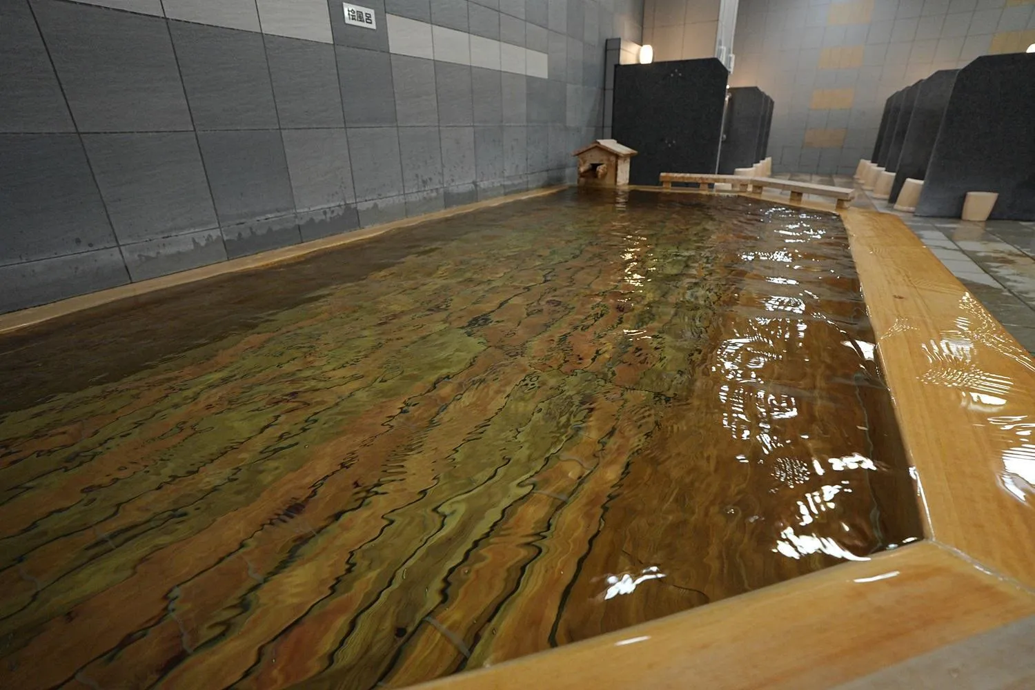 Natural Hot Spring Hotel KINSHAY