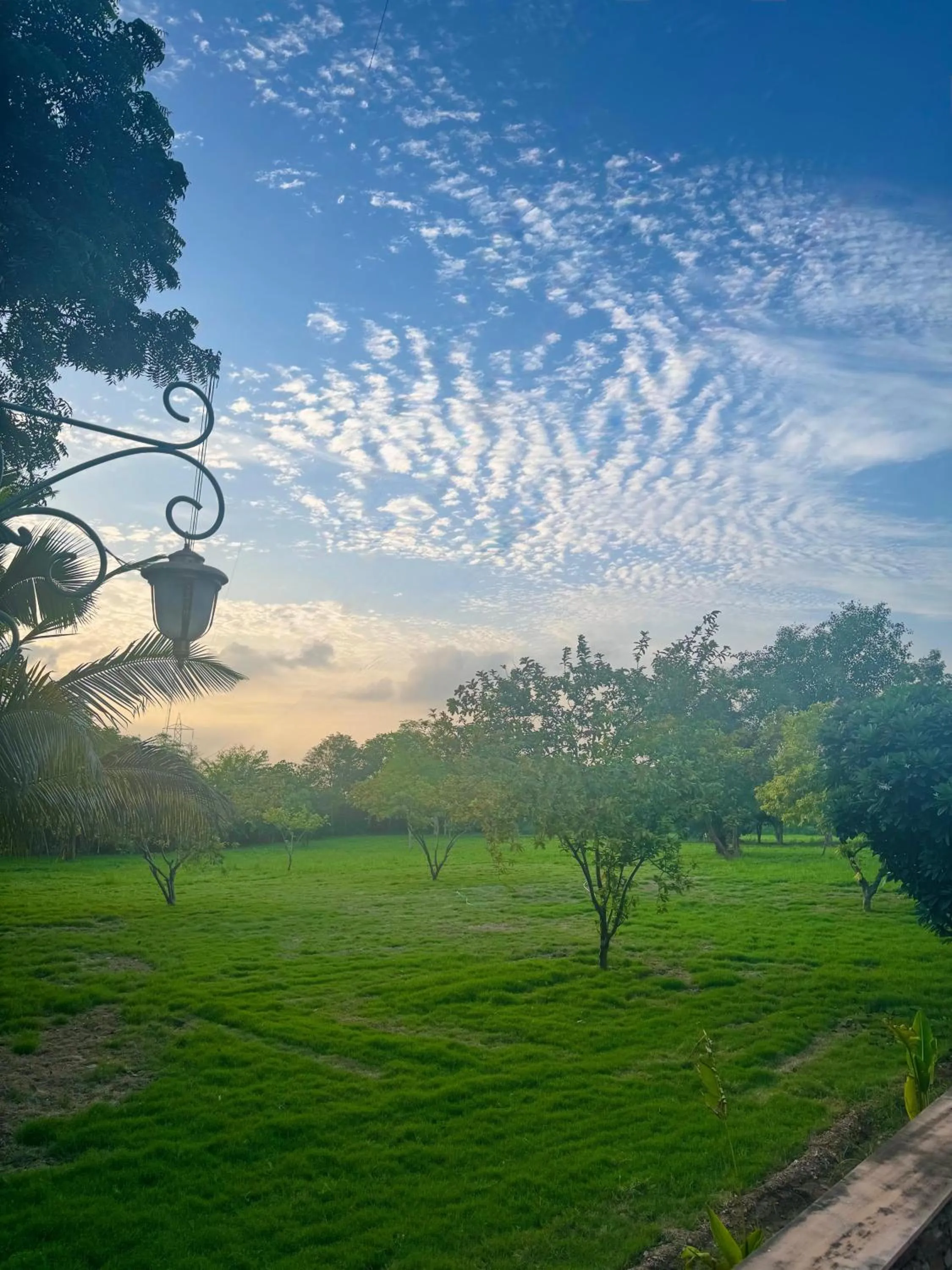 Spring in The Cabana 5BHK Luxury Villa