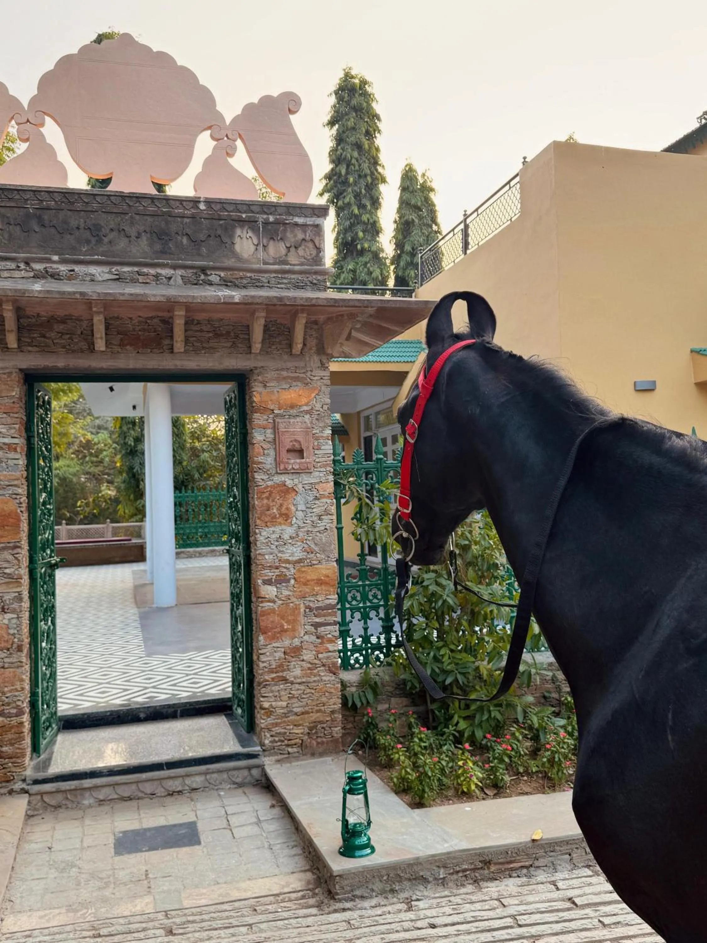 Day in The Cabana 5BHK Luxury Villa