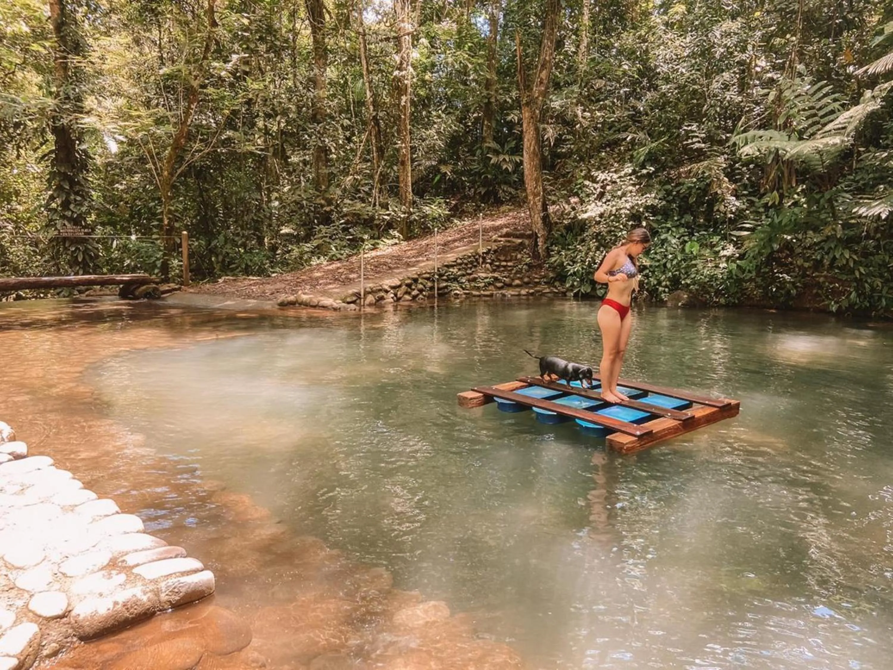 Other in Hotel del Bosque