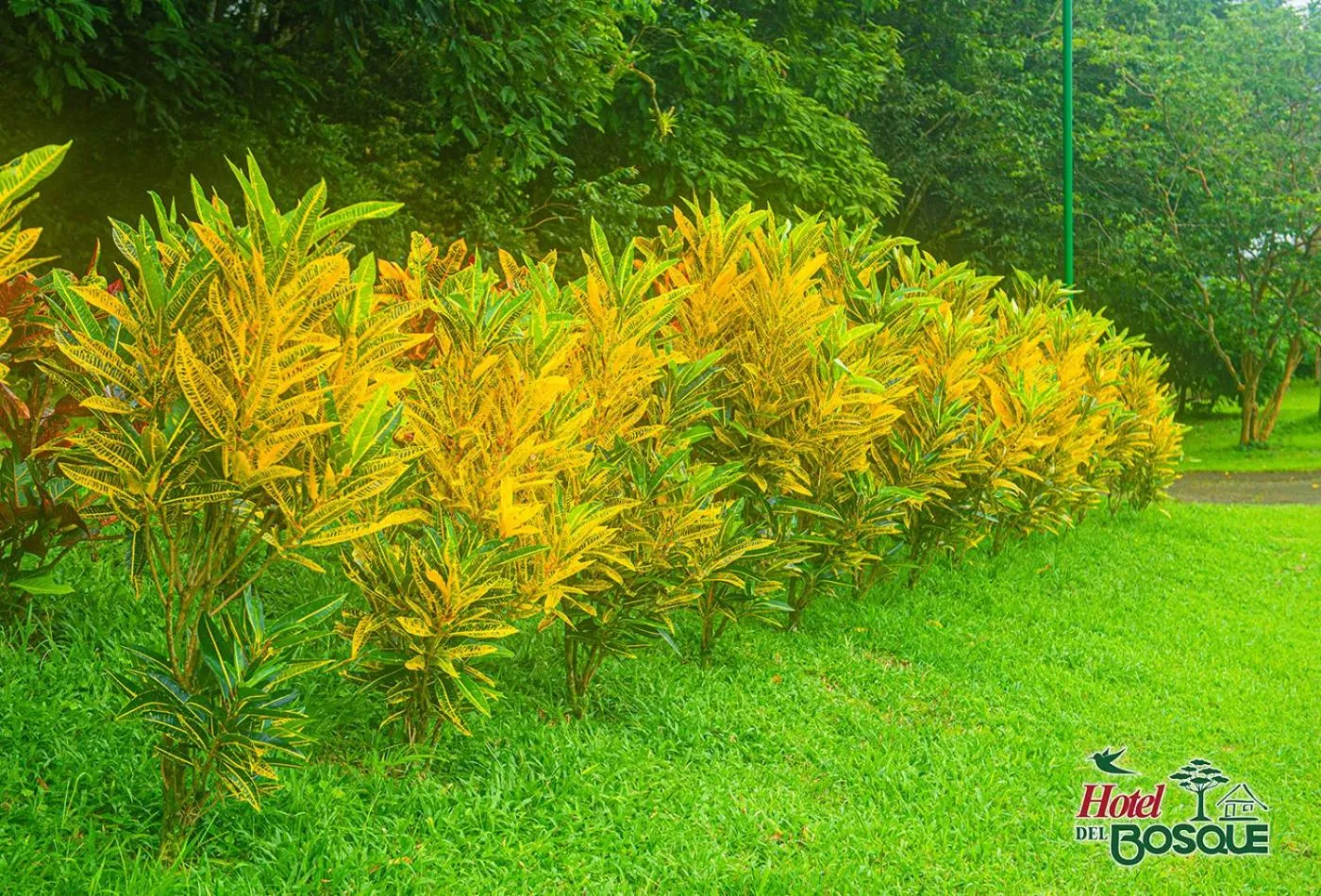 Natural landscape in Hotel del Bosque