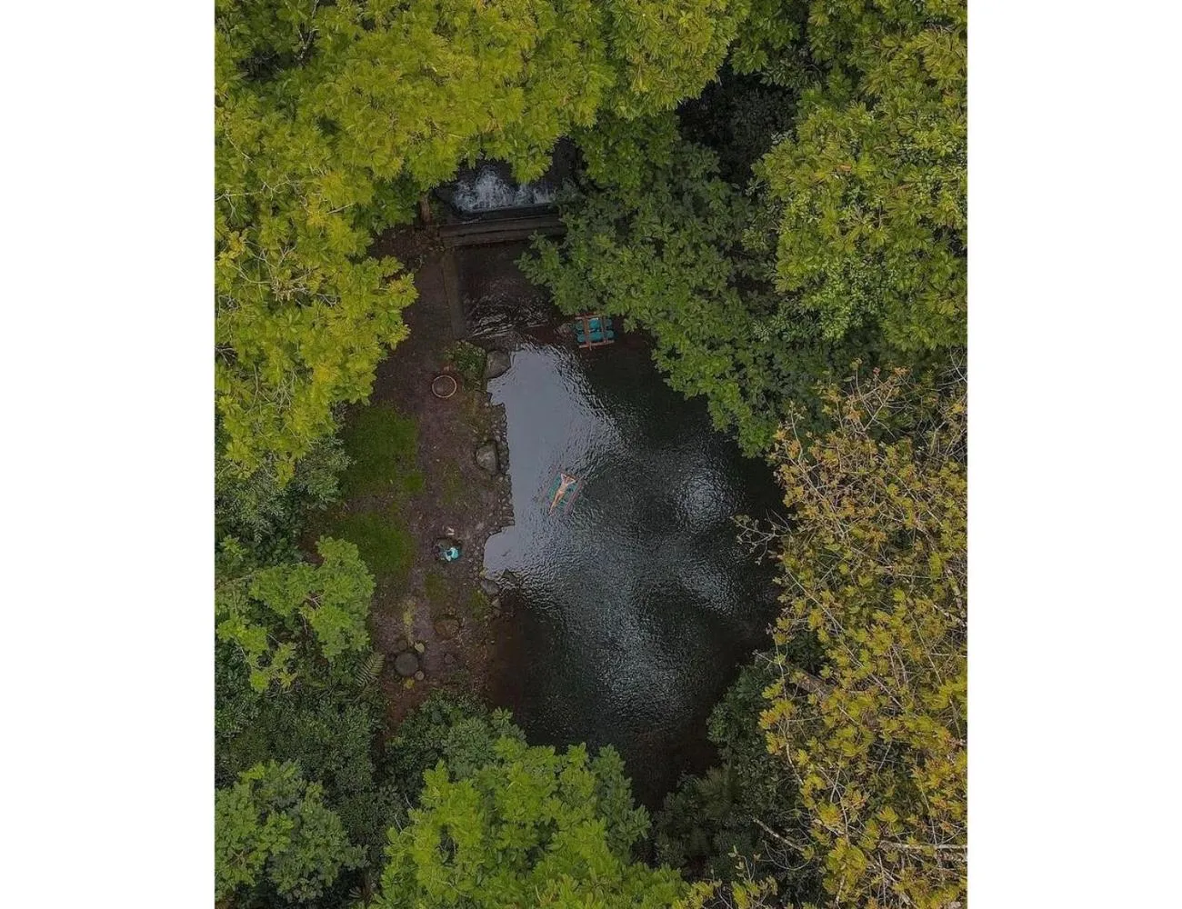Pool view in Hotel del Bosque