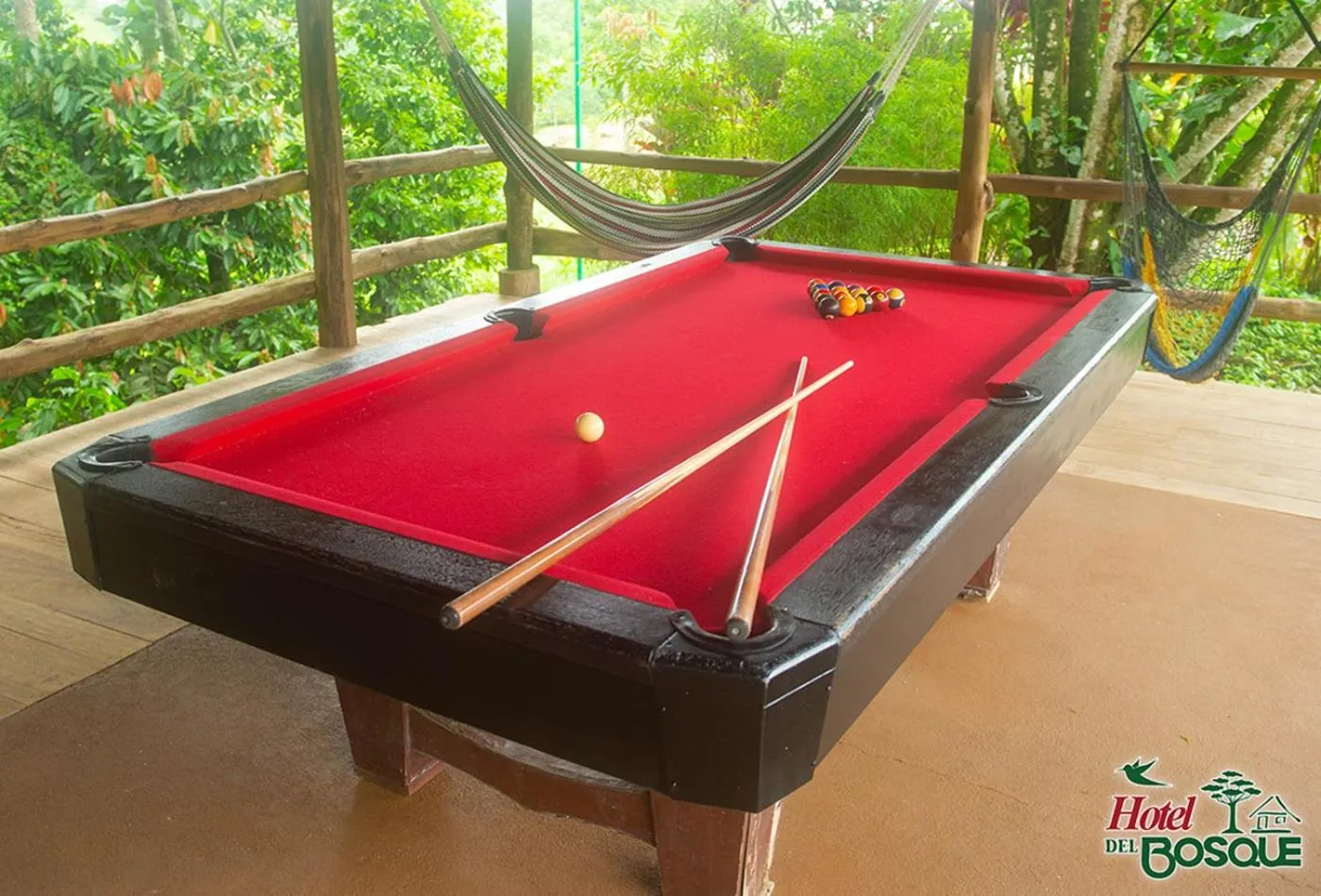 Billiard in Hotel del Bosque