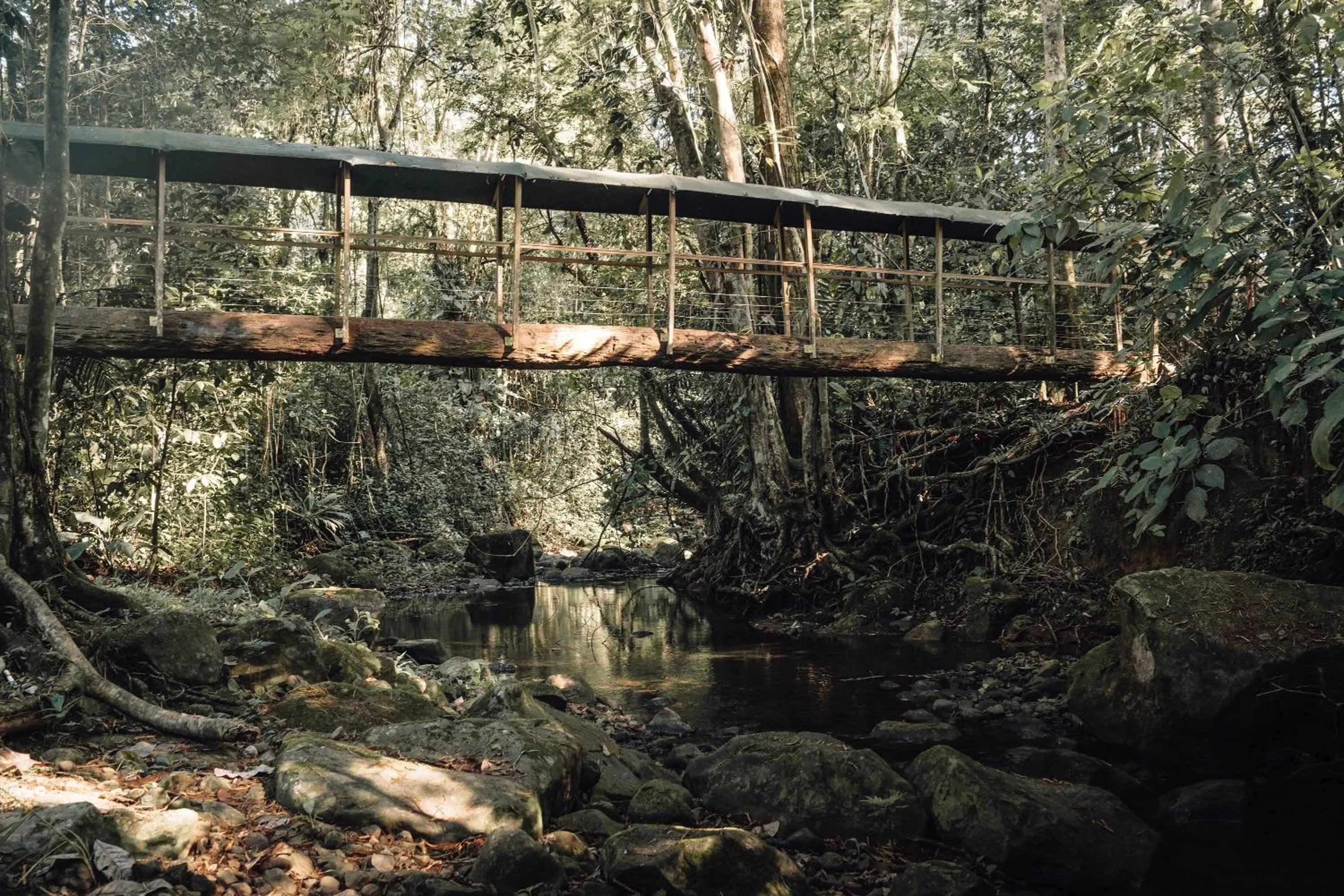 Natural landscape in Hotel del Bosque