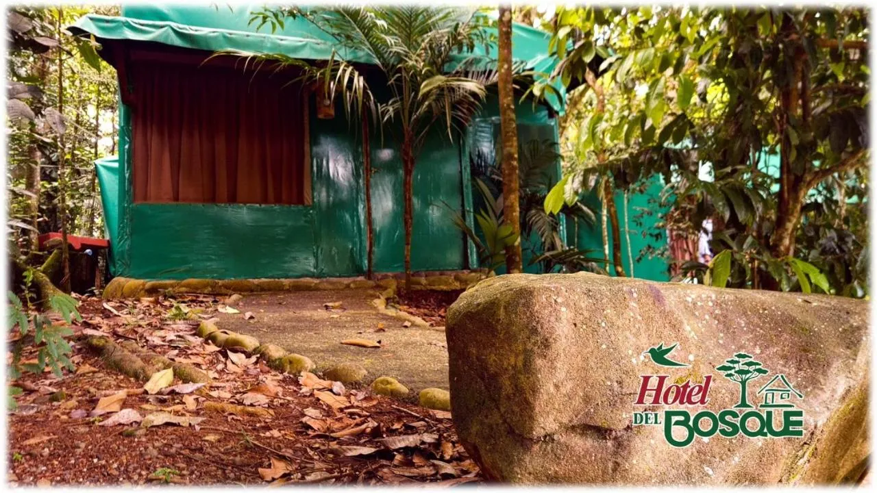 Facade/entrance in Hotel del Bosque