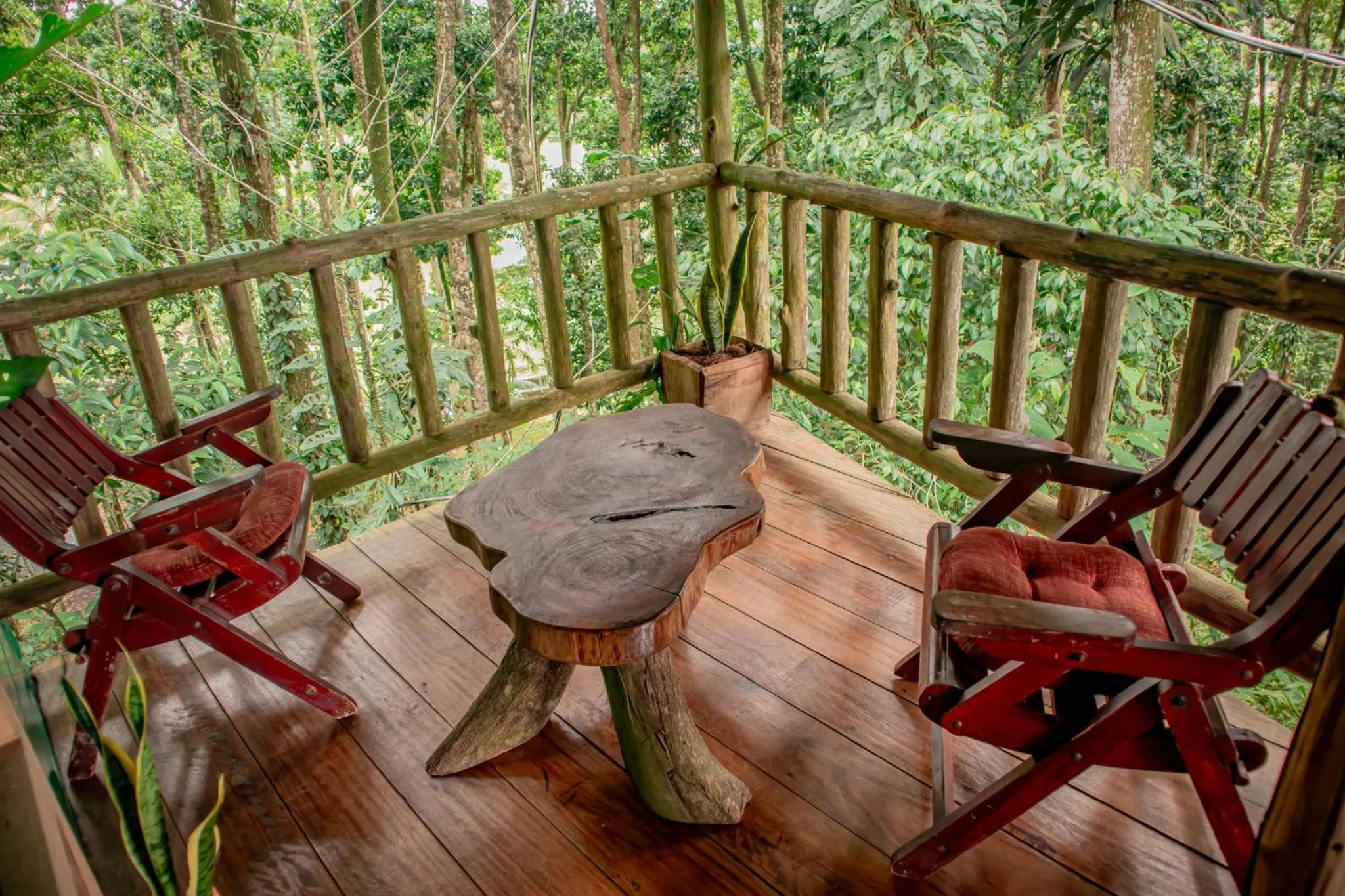 Balcony/Terrace in Hotel del Bosque