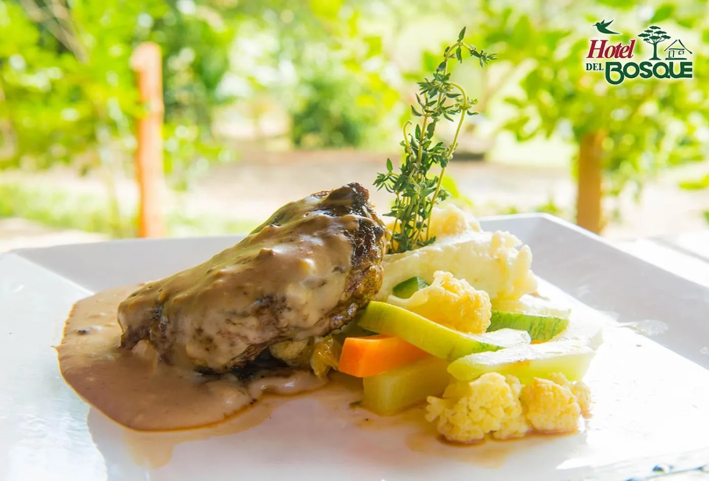 Restaurant/places to eat in Hotel del Bosque