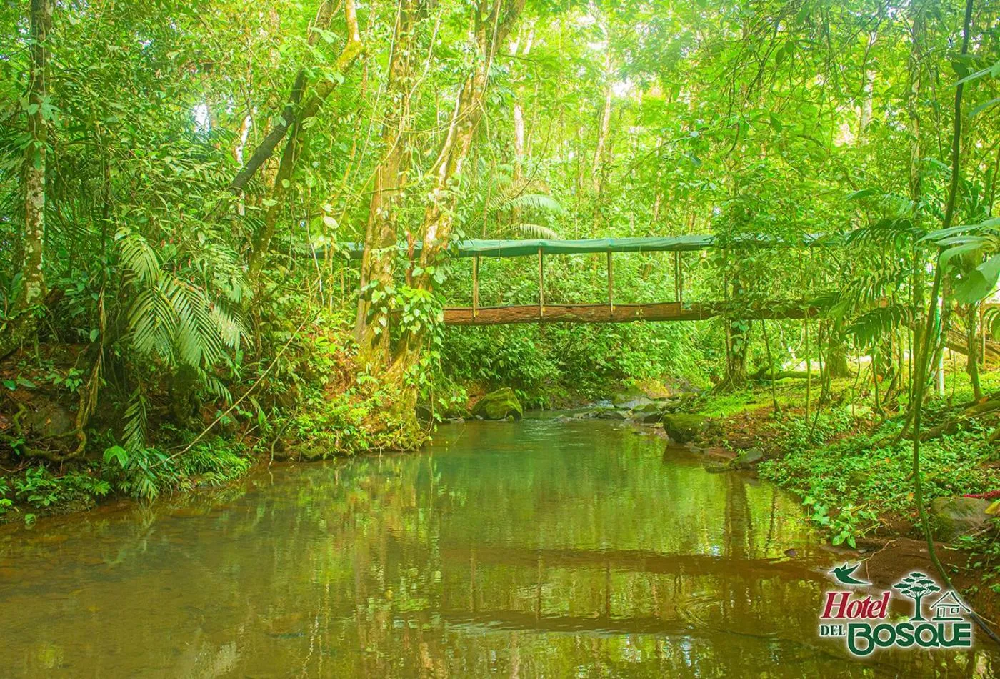 River view in Hotel del Bosque