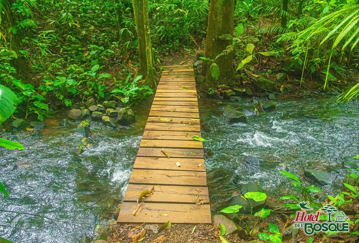 Natural landscape in Hotel del Bosque