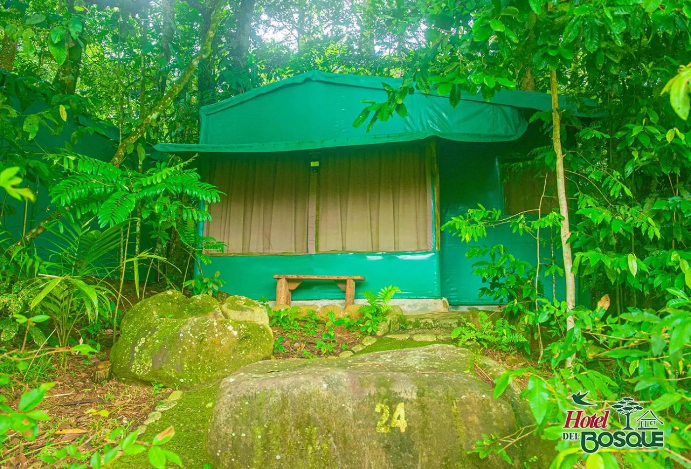Garden in Hotel del Bosque