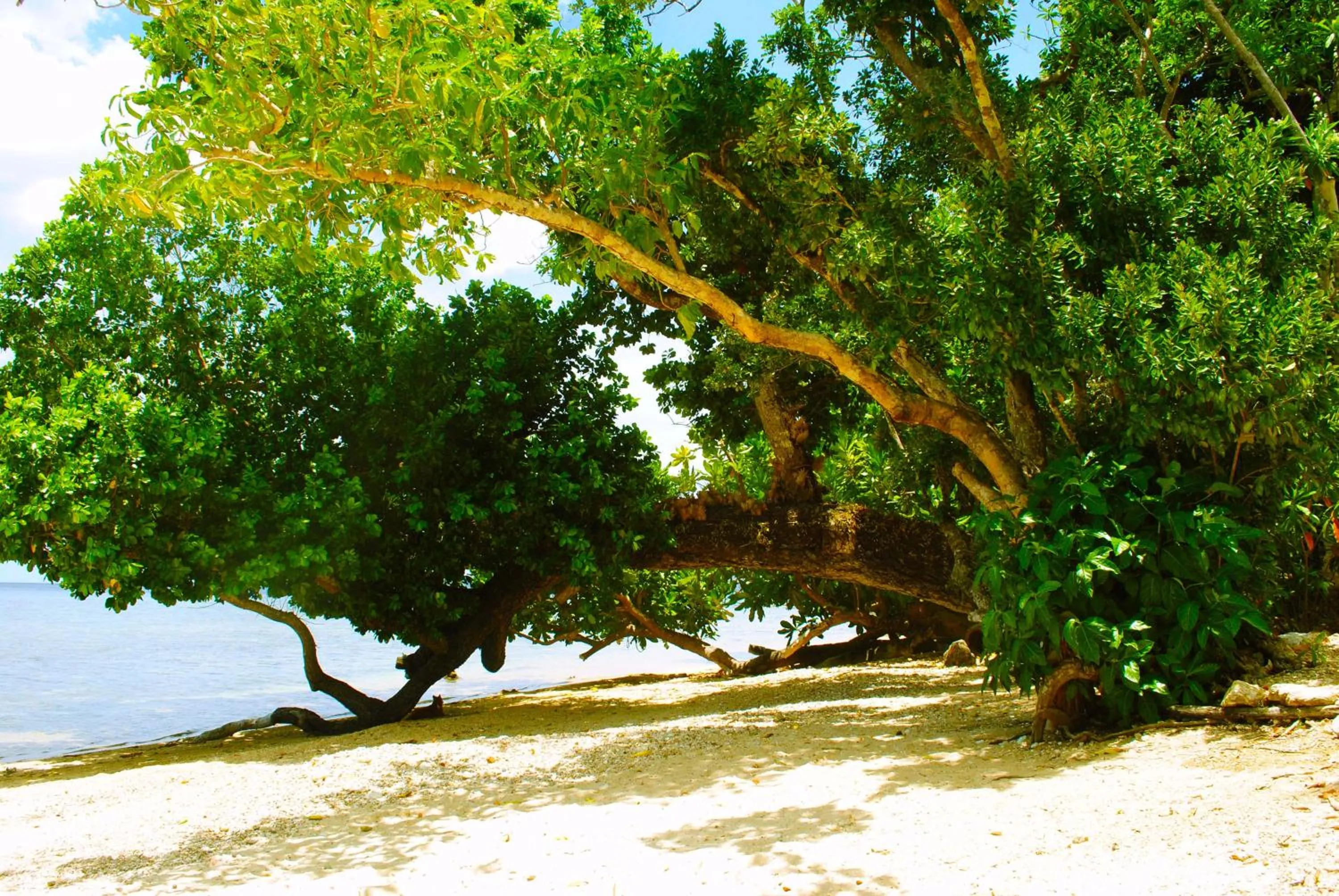 Beach in Alam Indah Beach Resort Busuanga