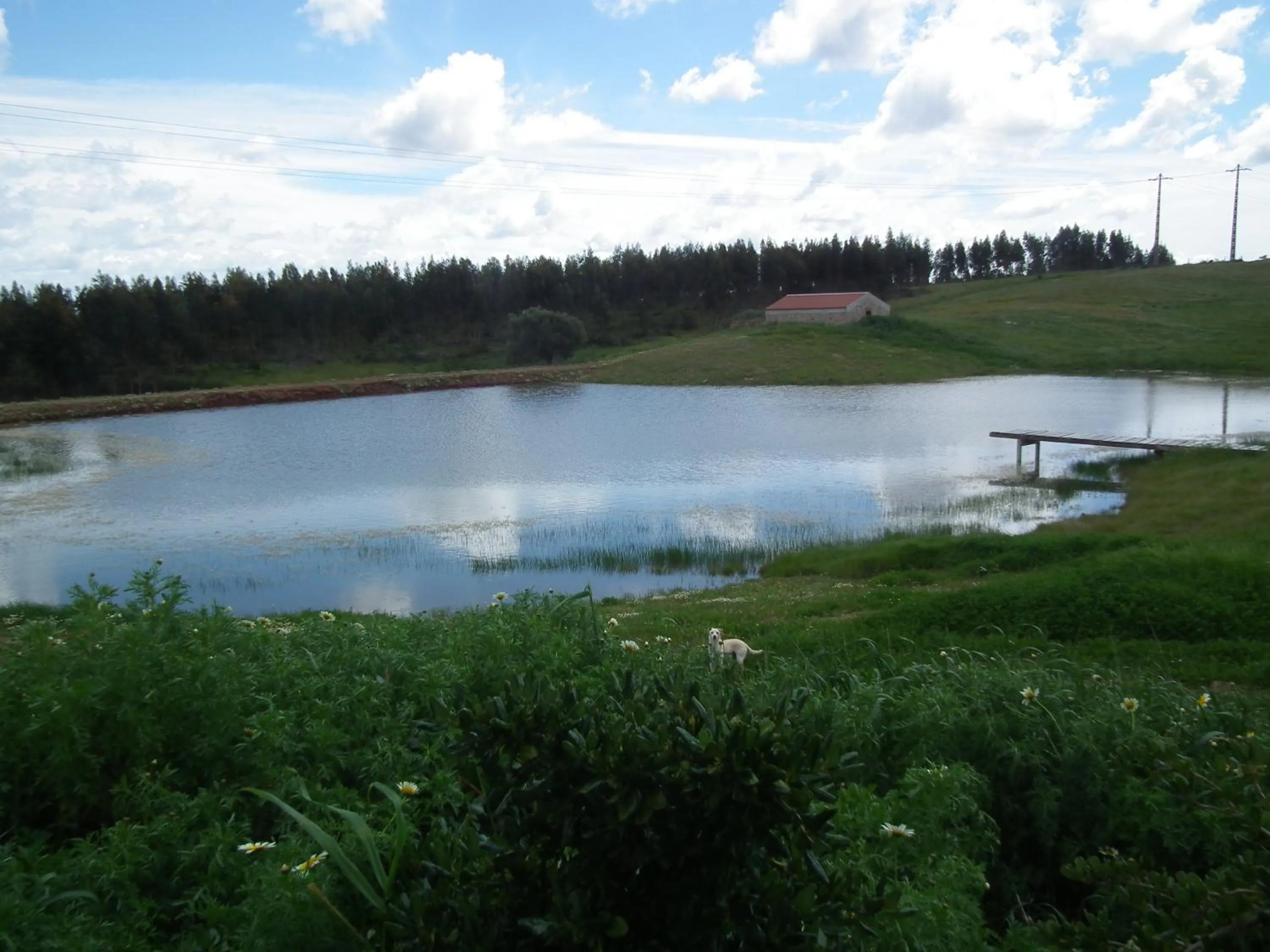 Day in Casas de Miróbriga