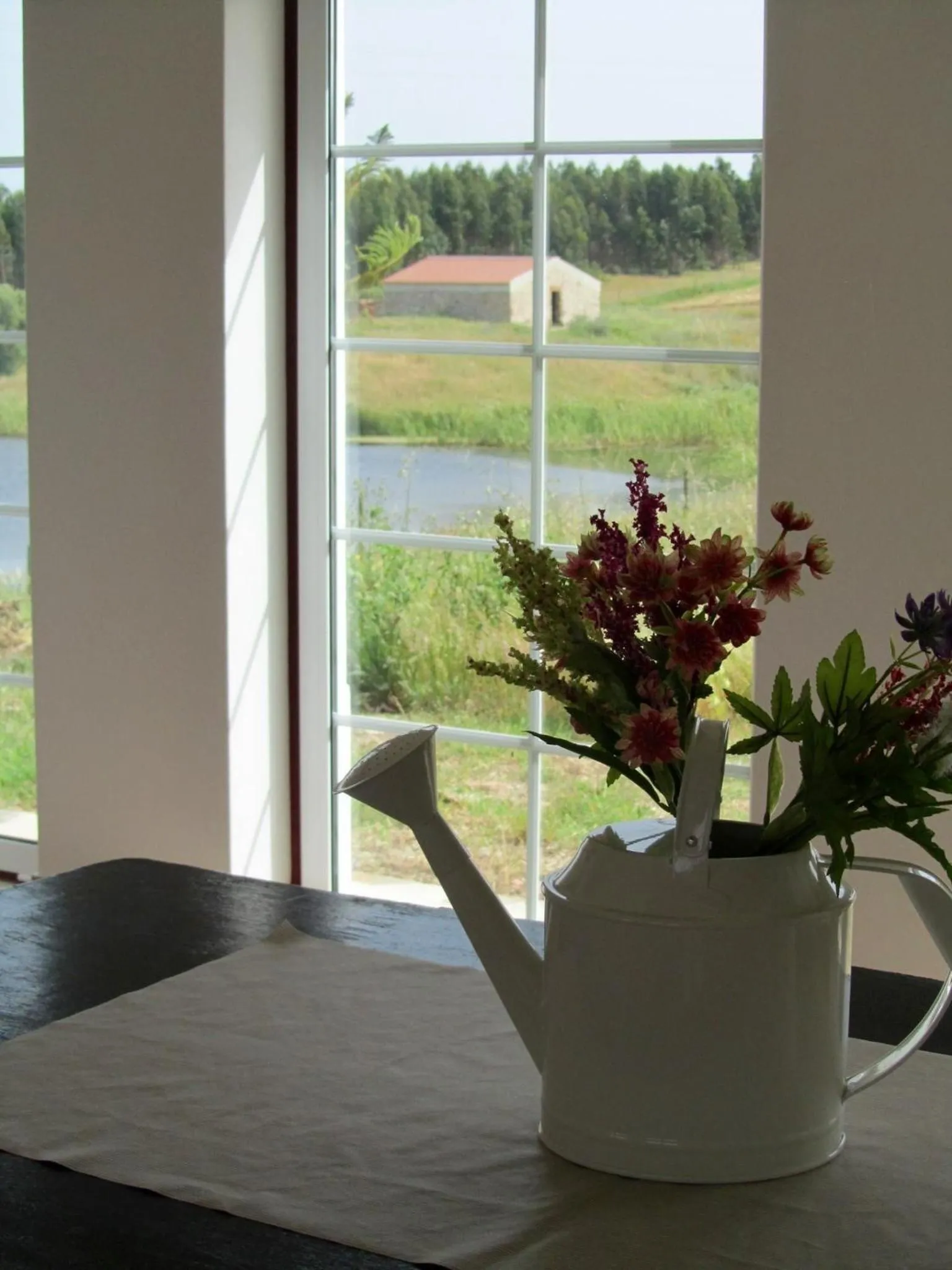 Day in Casas de Miróbriga