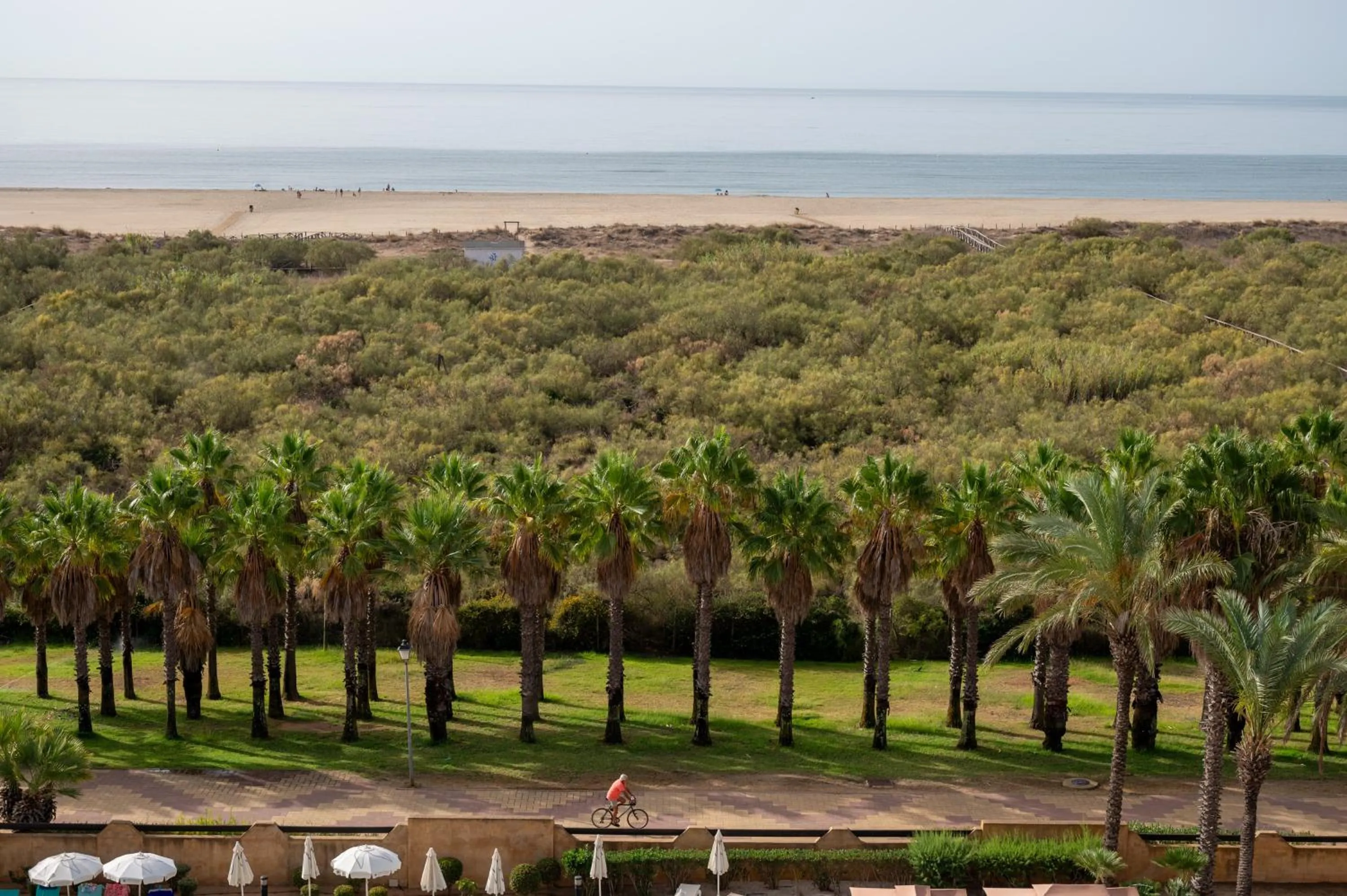 Natural landscape, Beach in Iberostar Isla Canela