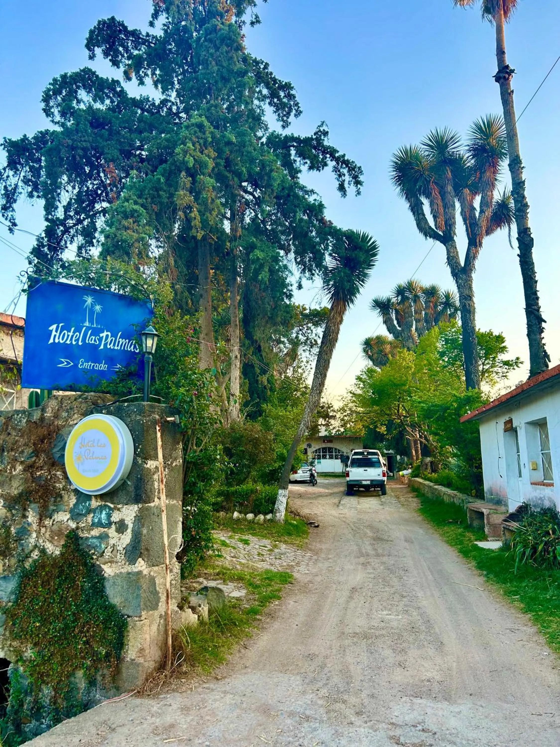 Spring in Hotel Las Palmas By GEstores