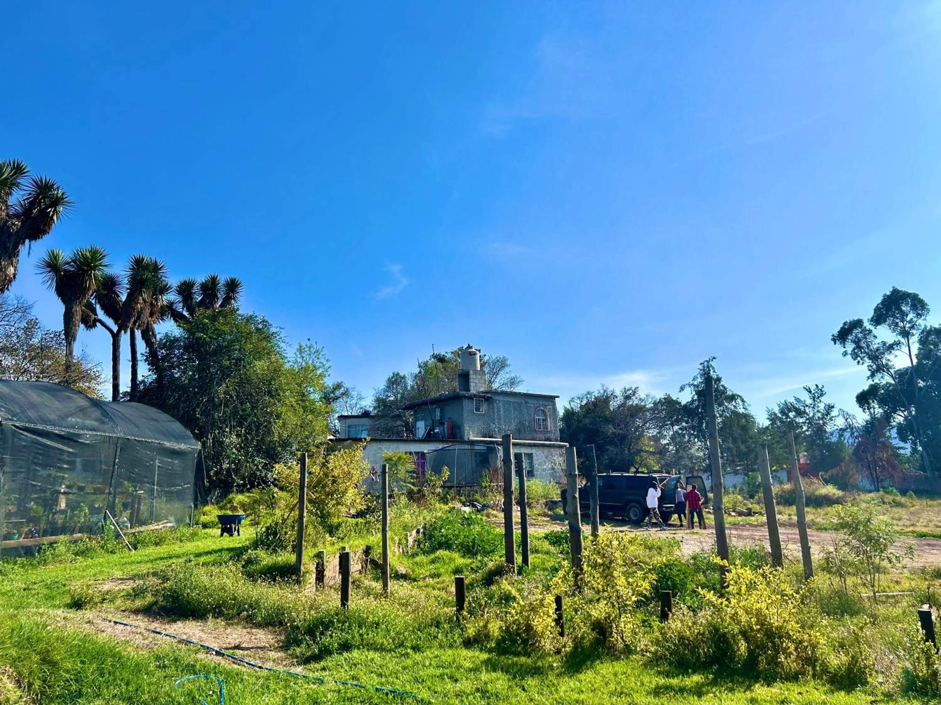 Hotel Las Palmas By GEstores