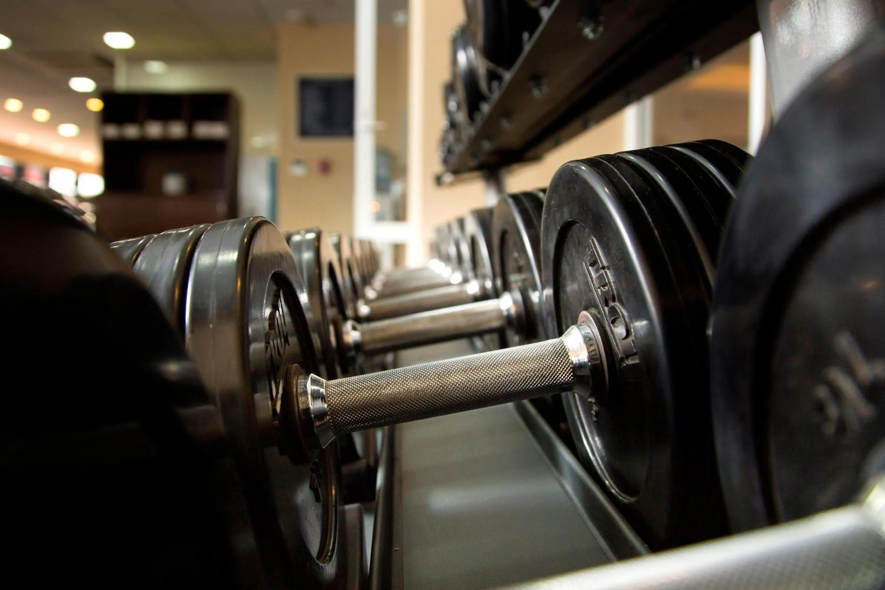 Fitness centre/facilities in Four Points by Sheraton Queretaro Norte