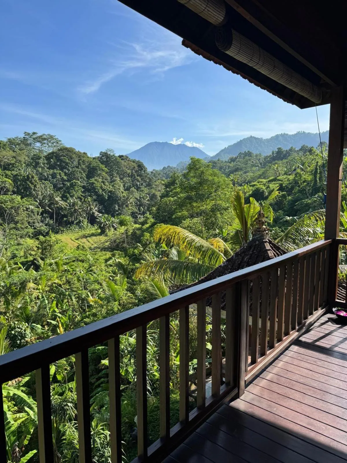 Natural landscape in Beji Ayu Villas Sidemen