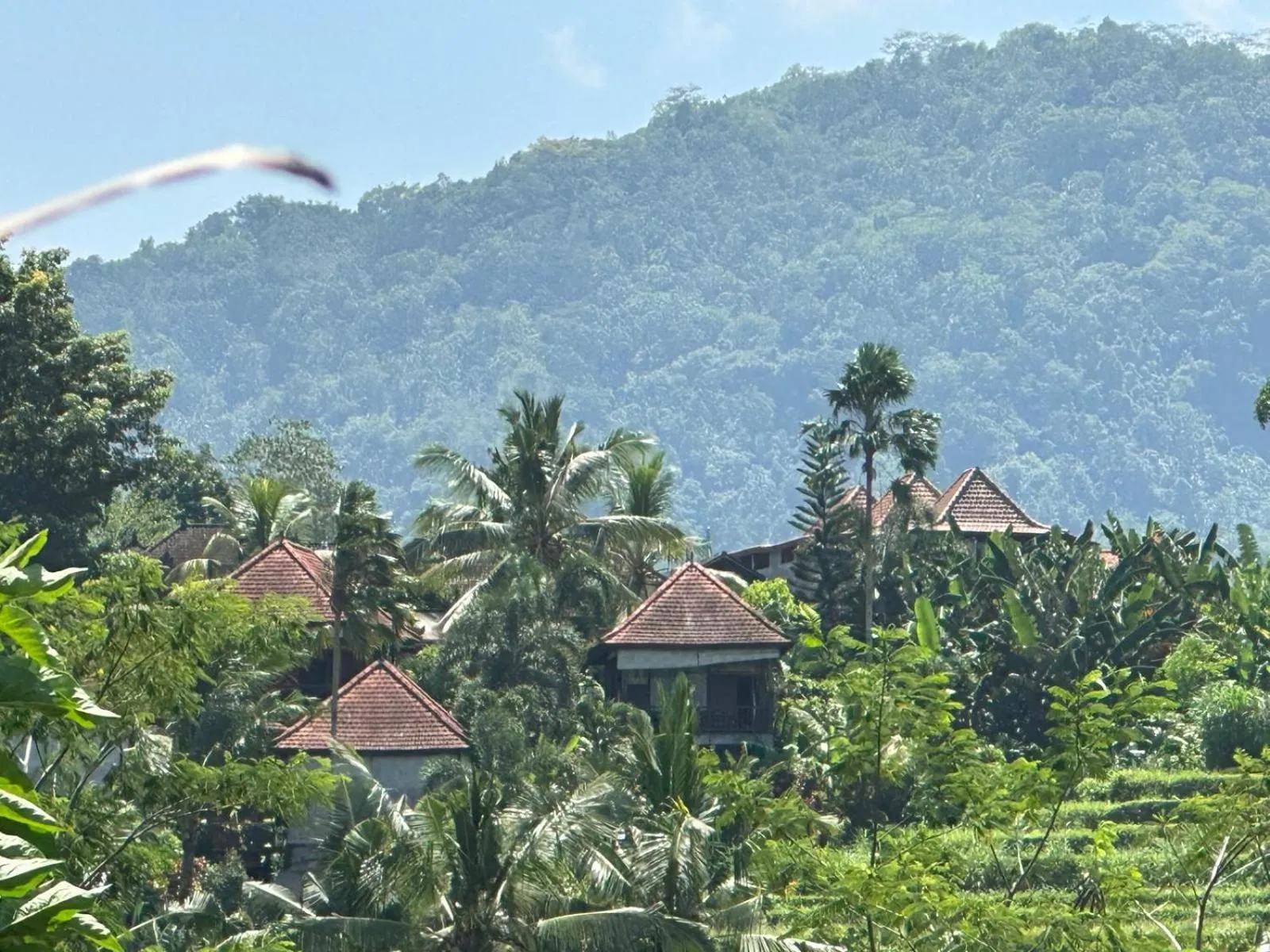 Spring in Beji Ayu Villas Sidemen