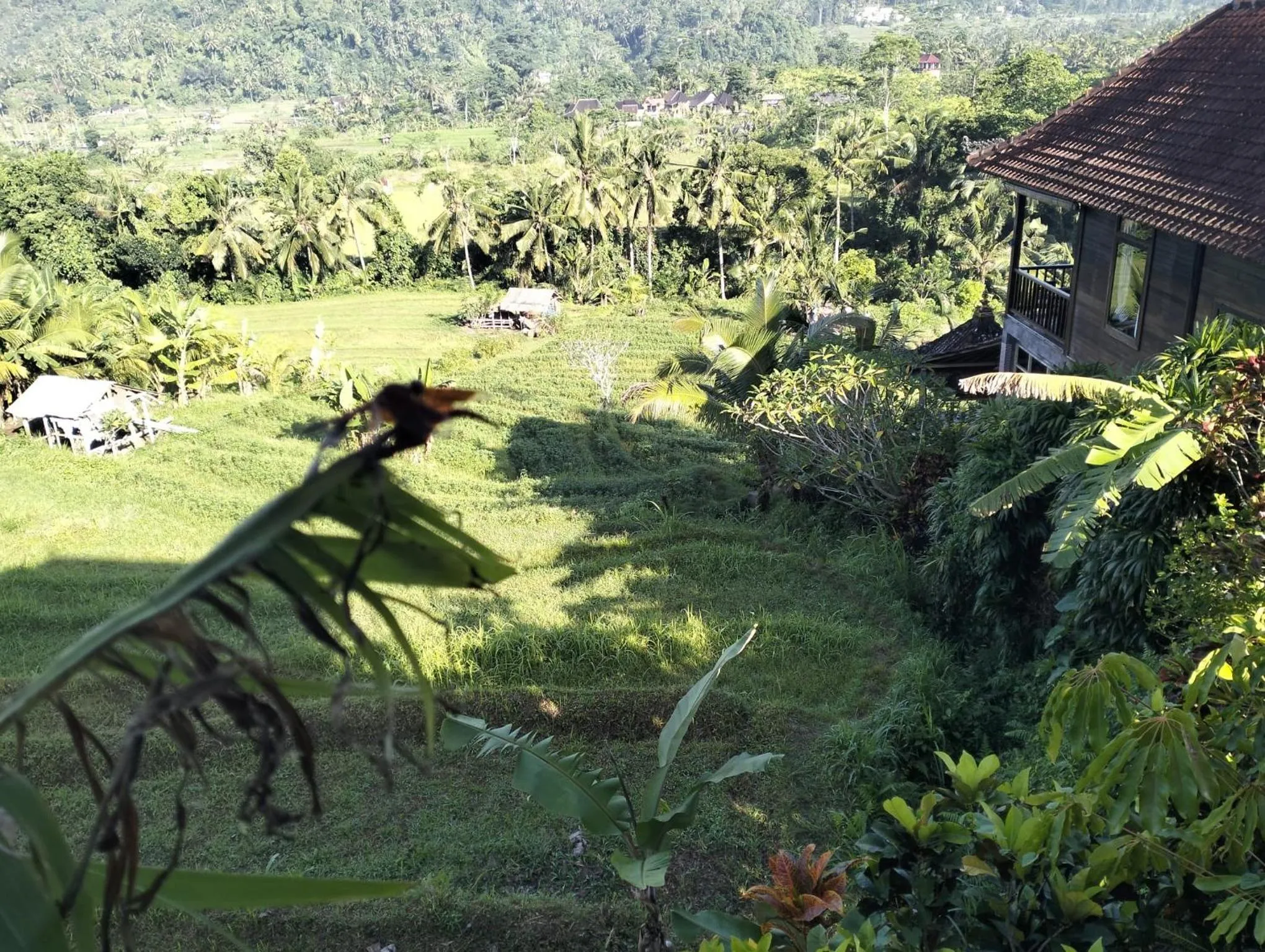 View (from property/room) in Beji Ayu Villas Sidemen