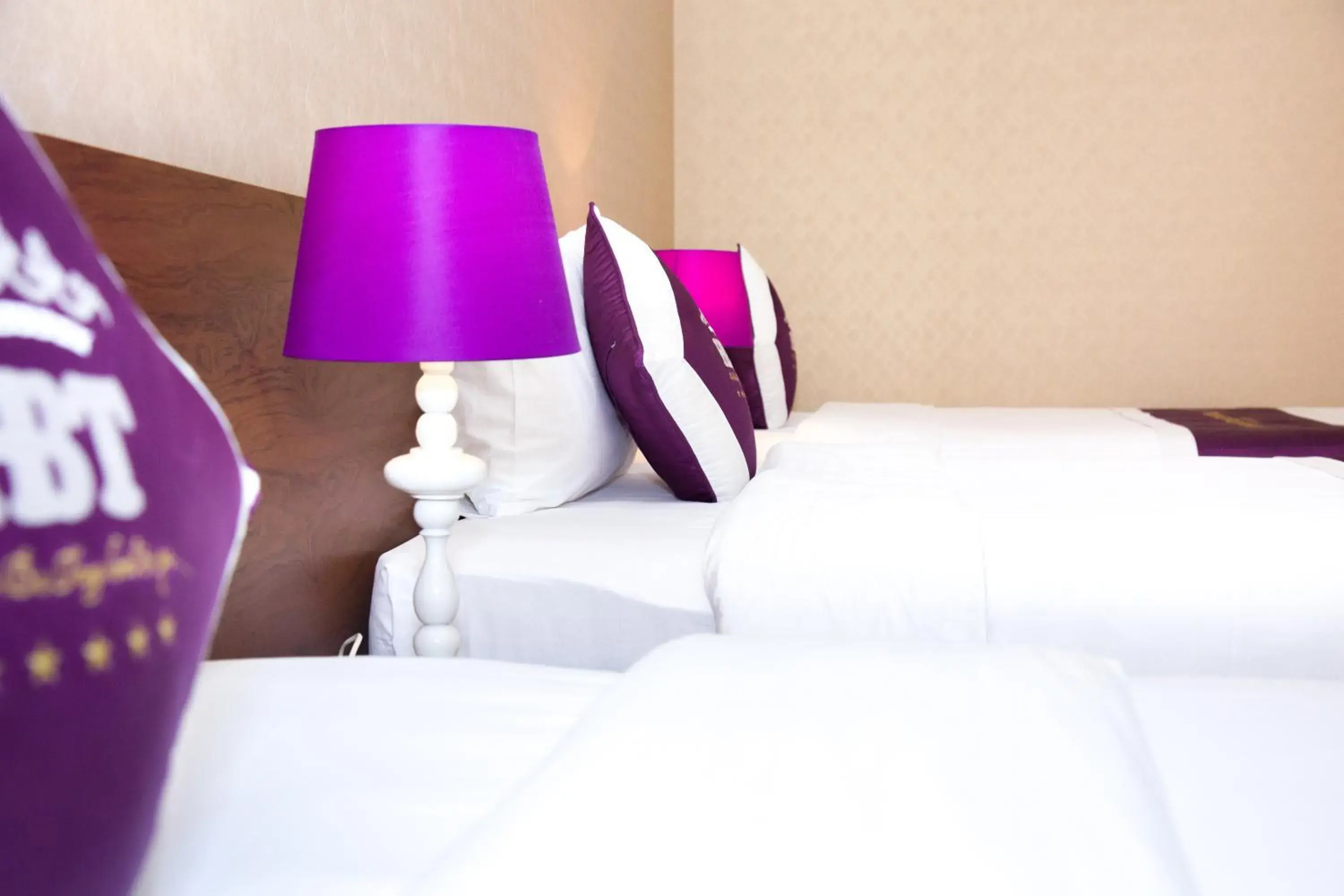 Superior Twin Room in Hai Ba Trung Hotel & Spa Superior Twin Room in Hai Ba Trung Hotel & Spa