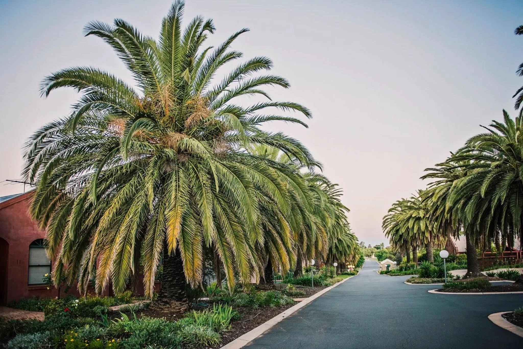 Property building in Tuileries at De Bortoli Rutherglen