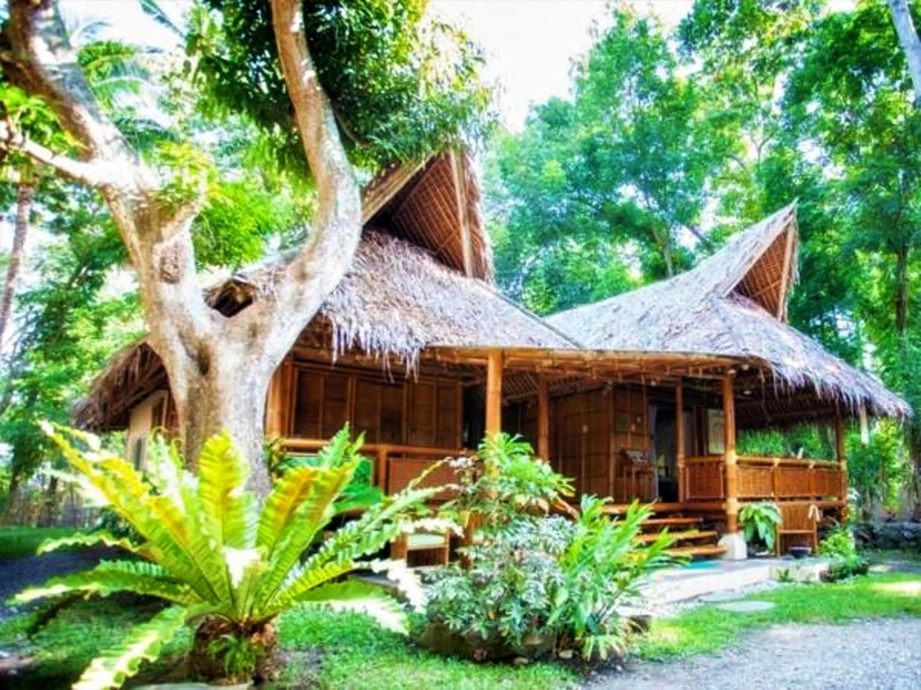 Fitness centre/facilities in Vida Homes Condo Resort