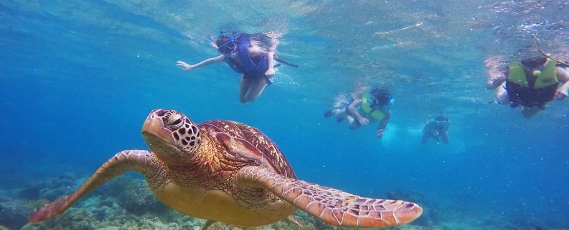 Snorkeling in Vida Homes Condo Resort