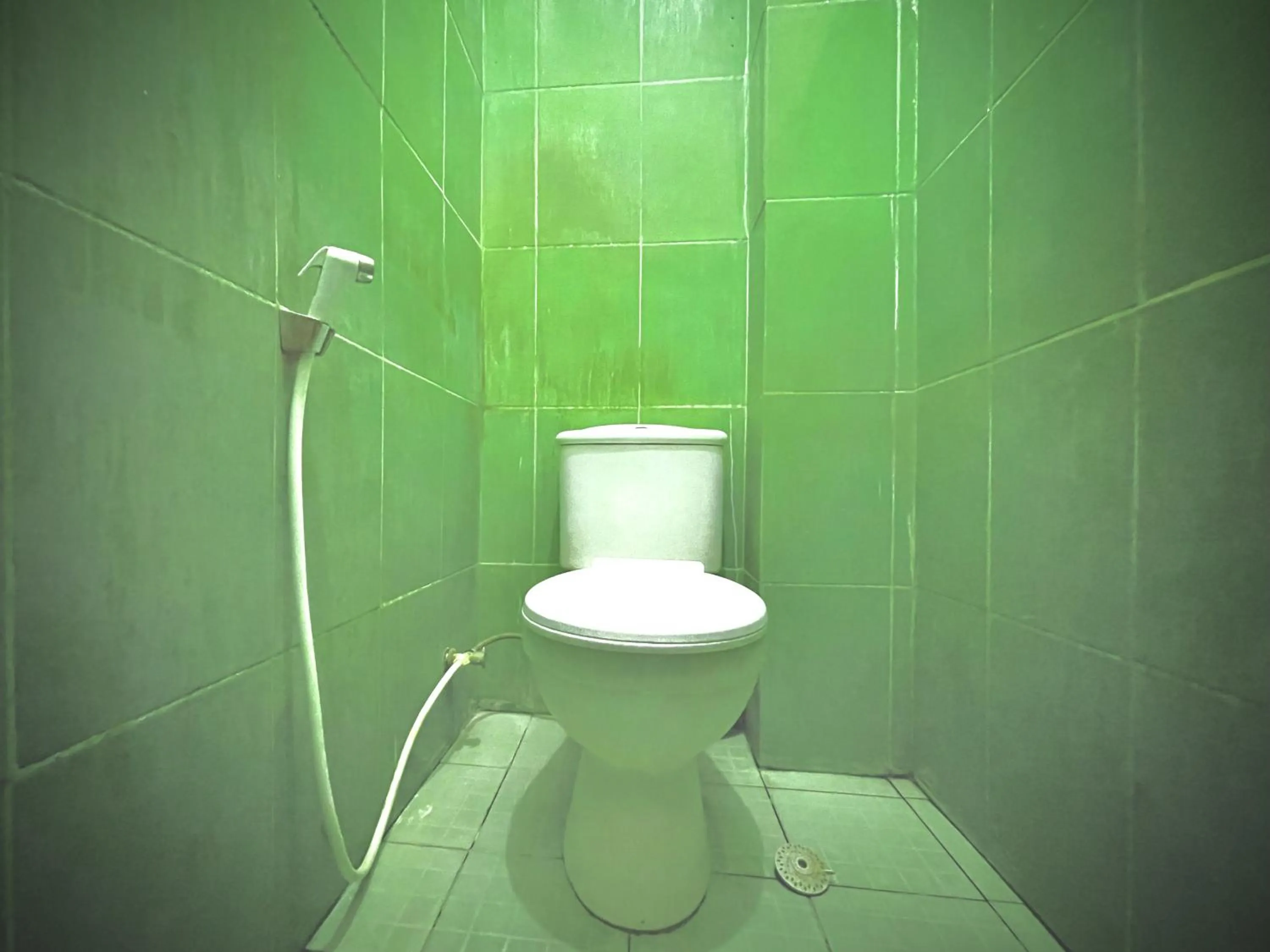 Toilet in Faster Inn 2