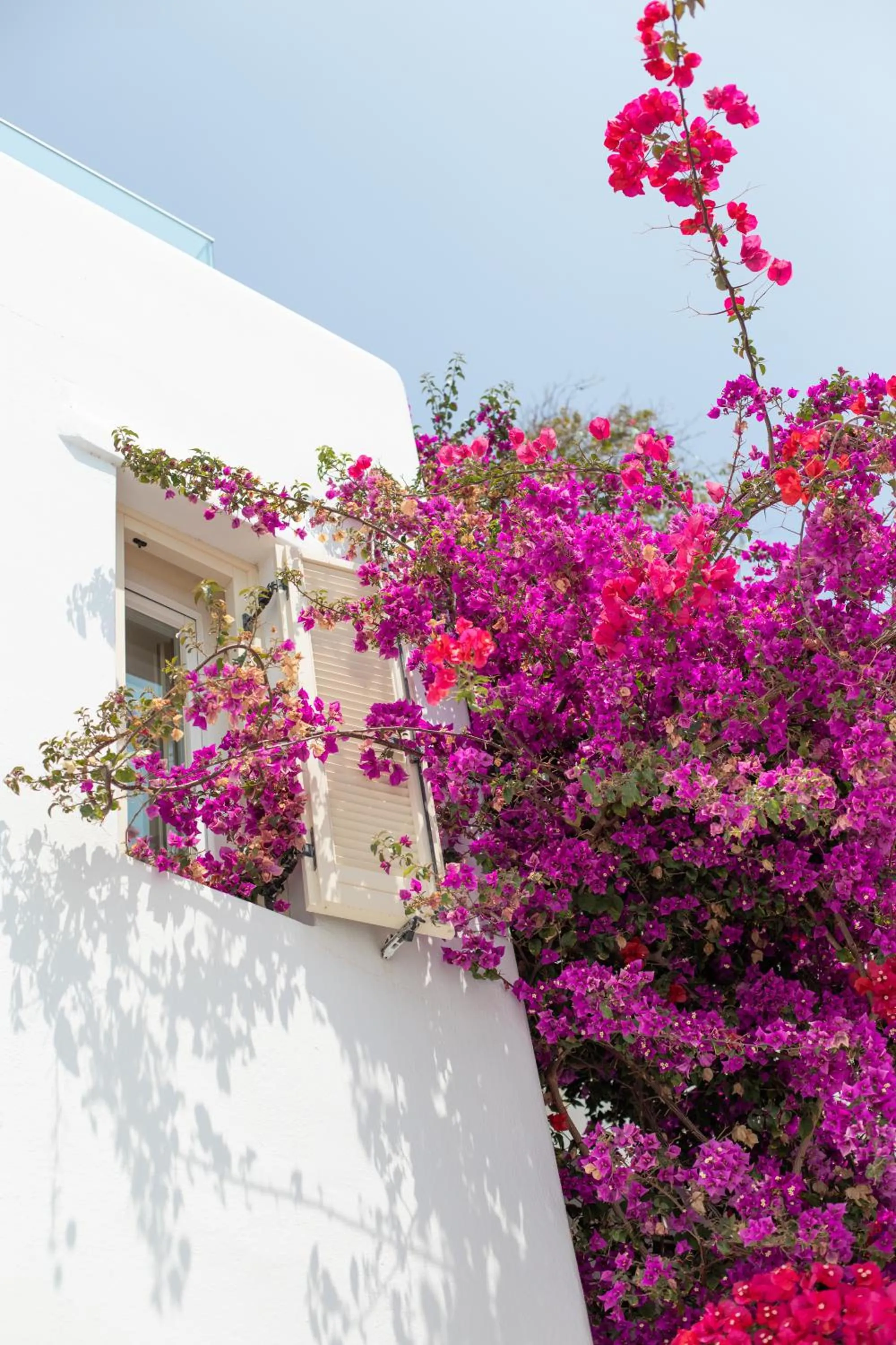 Property building in The George Hotel Mykonos