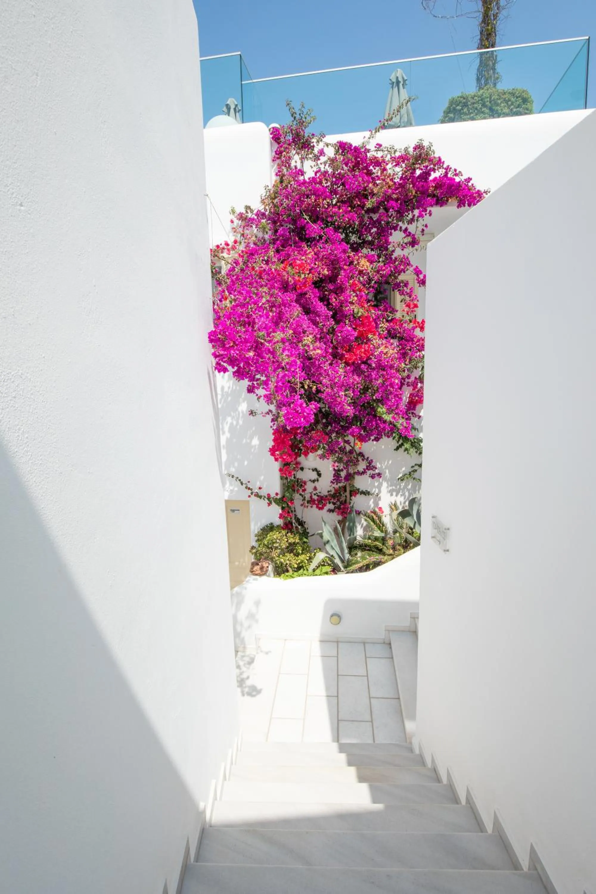 Garden in The George Hotel Mykonos