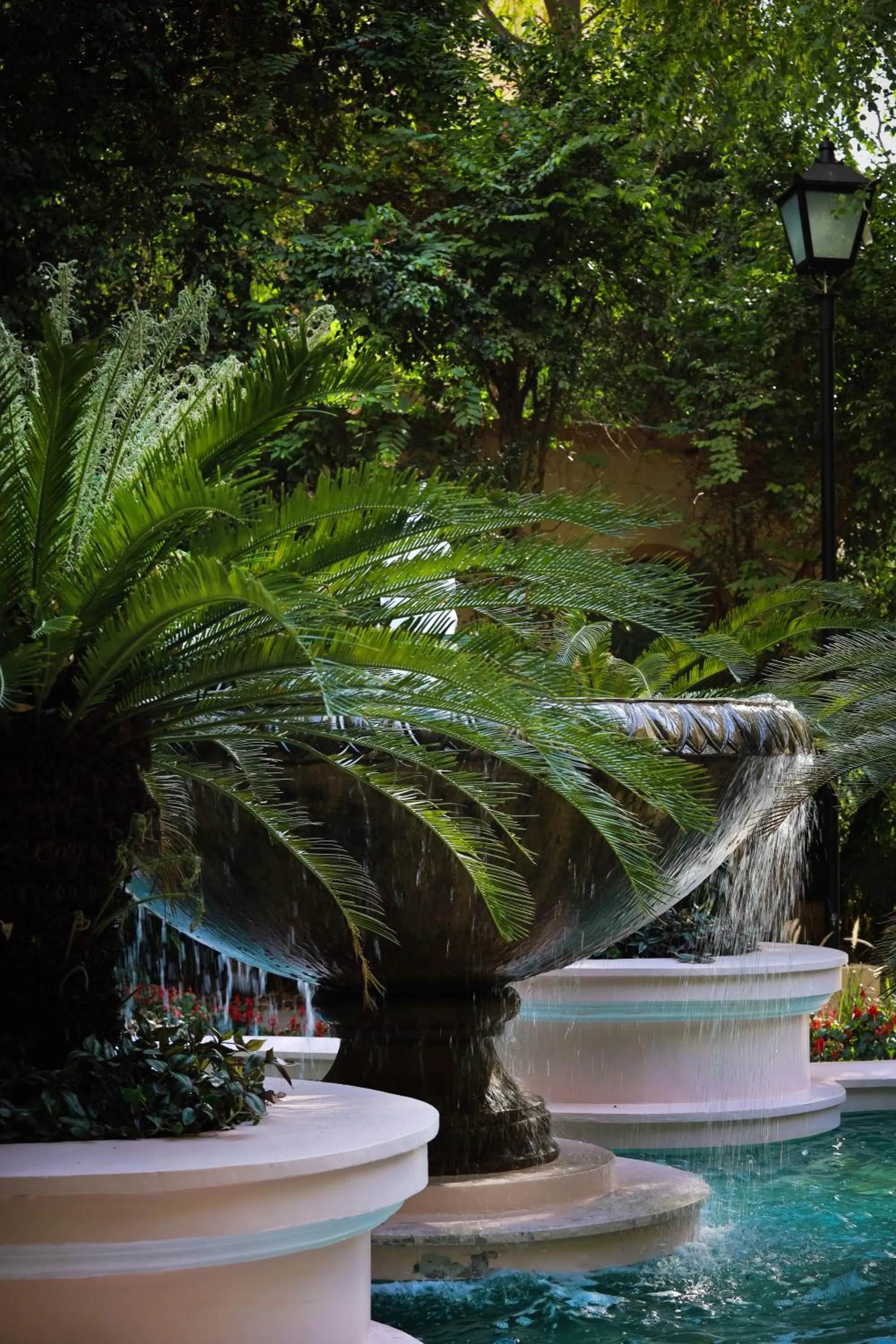 Natural landscape in DLF Club 5