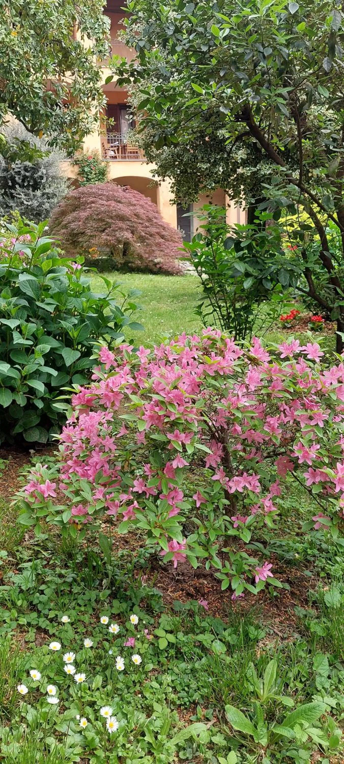 B&B il Cortile Malpensa