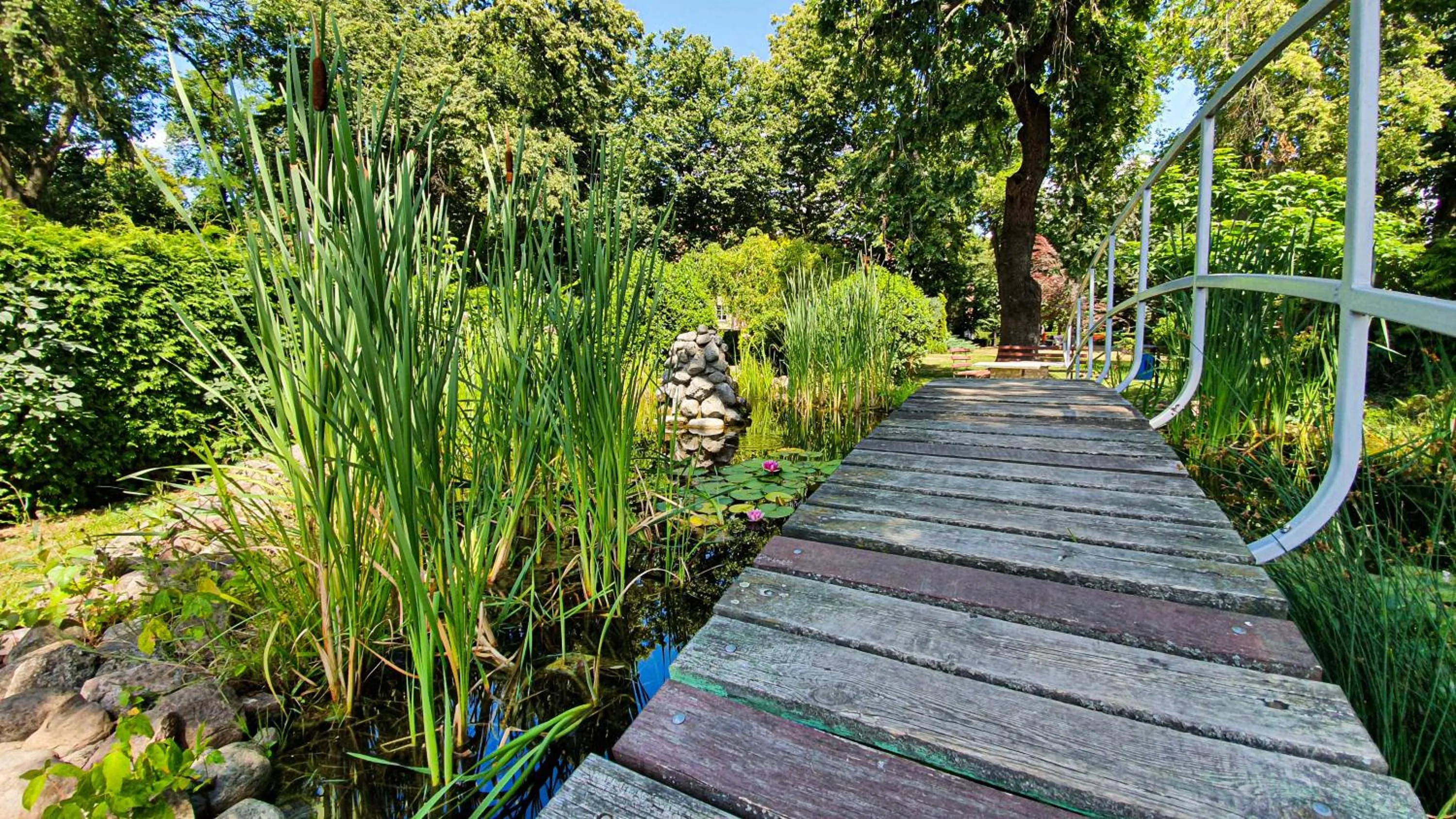 Natural landscape in Dworek Brodowo Restauracja Hotel Przyjęcia