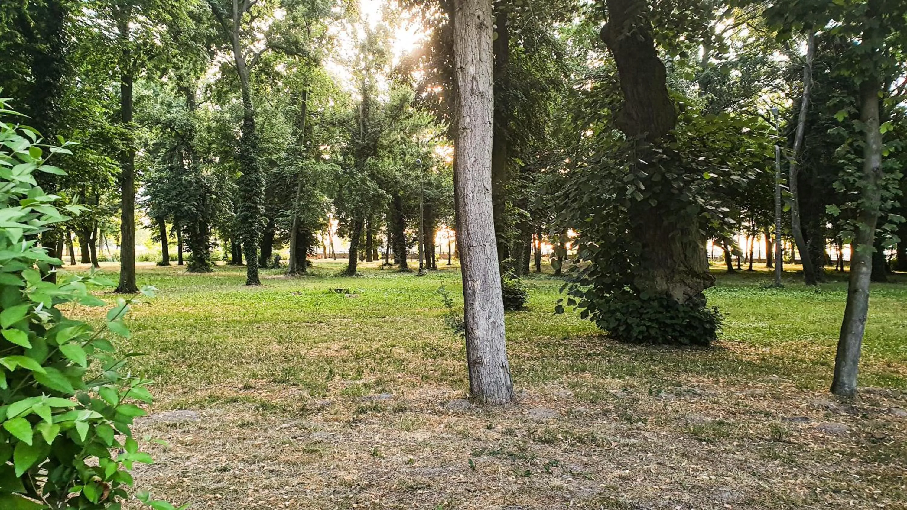 Natural landscape in Dworek Brodowo Restauracja Hotel Przyjęcia