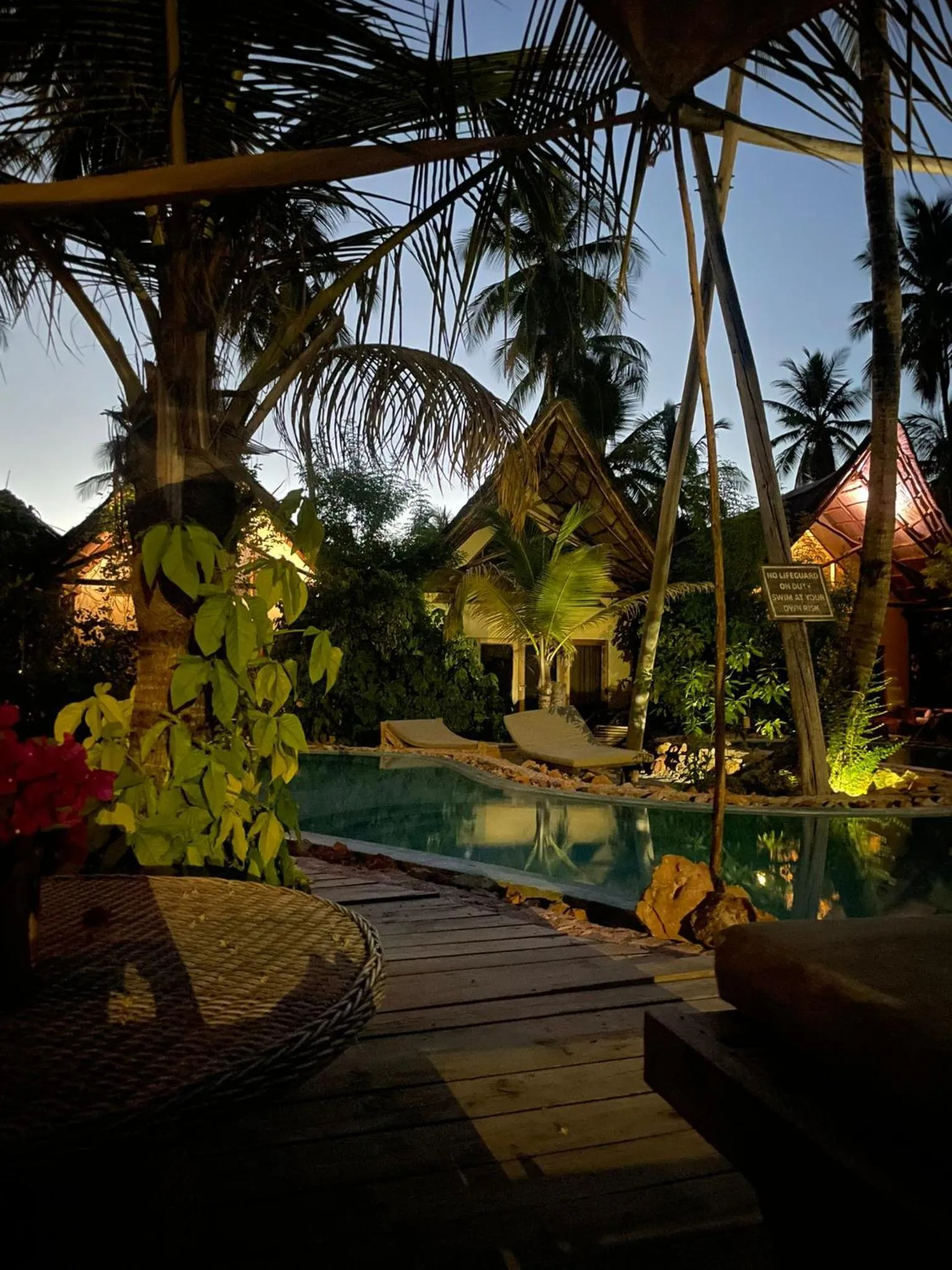 Night in The Nest Tropical Oasis Resort