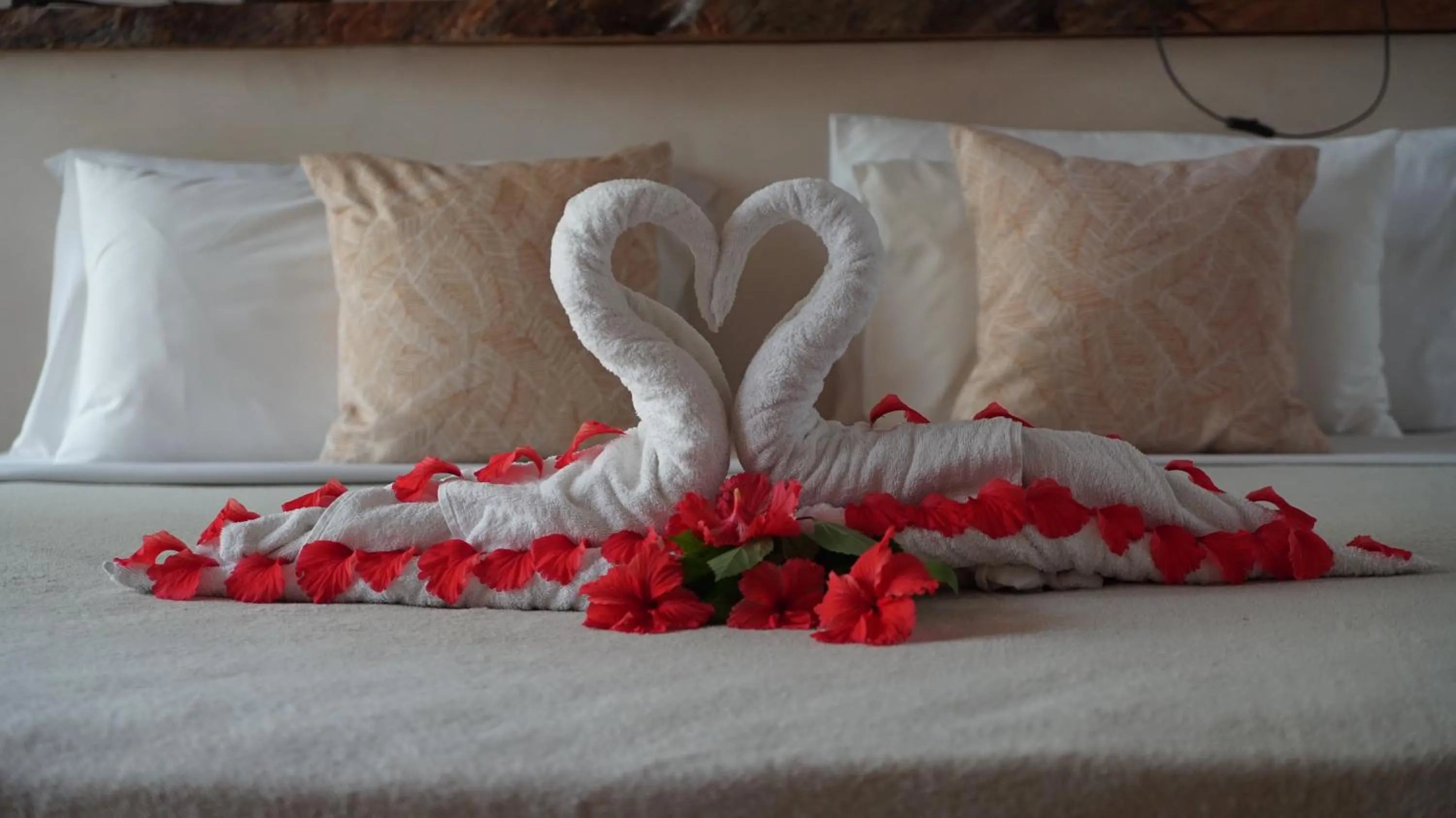 Bed in The Nest Tropical Oasis Resort