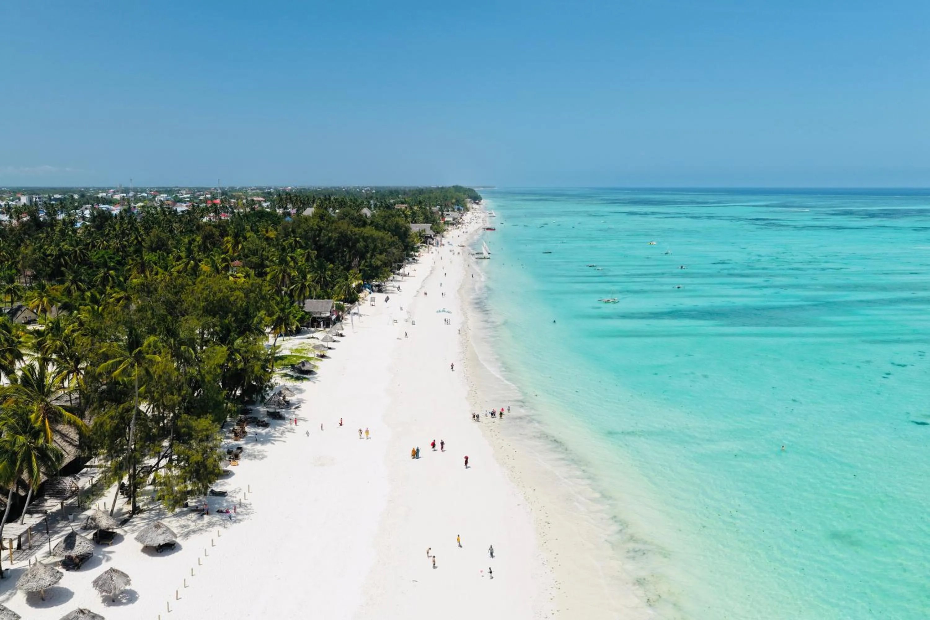 The Nest Tropical Oasis Resort