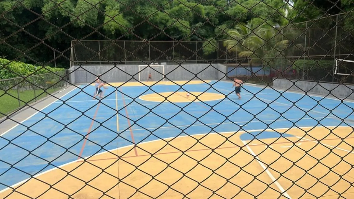 Golden Dolphin Express