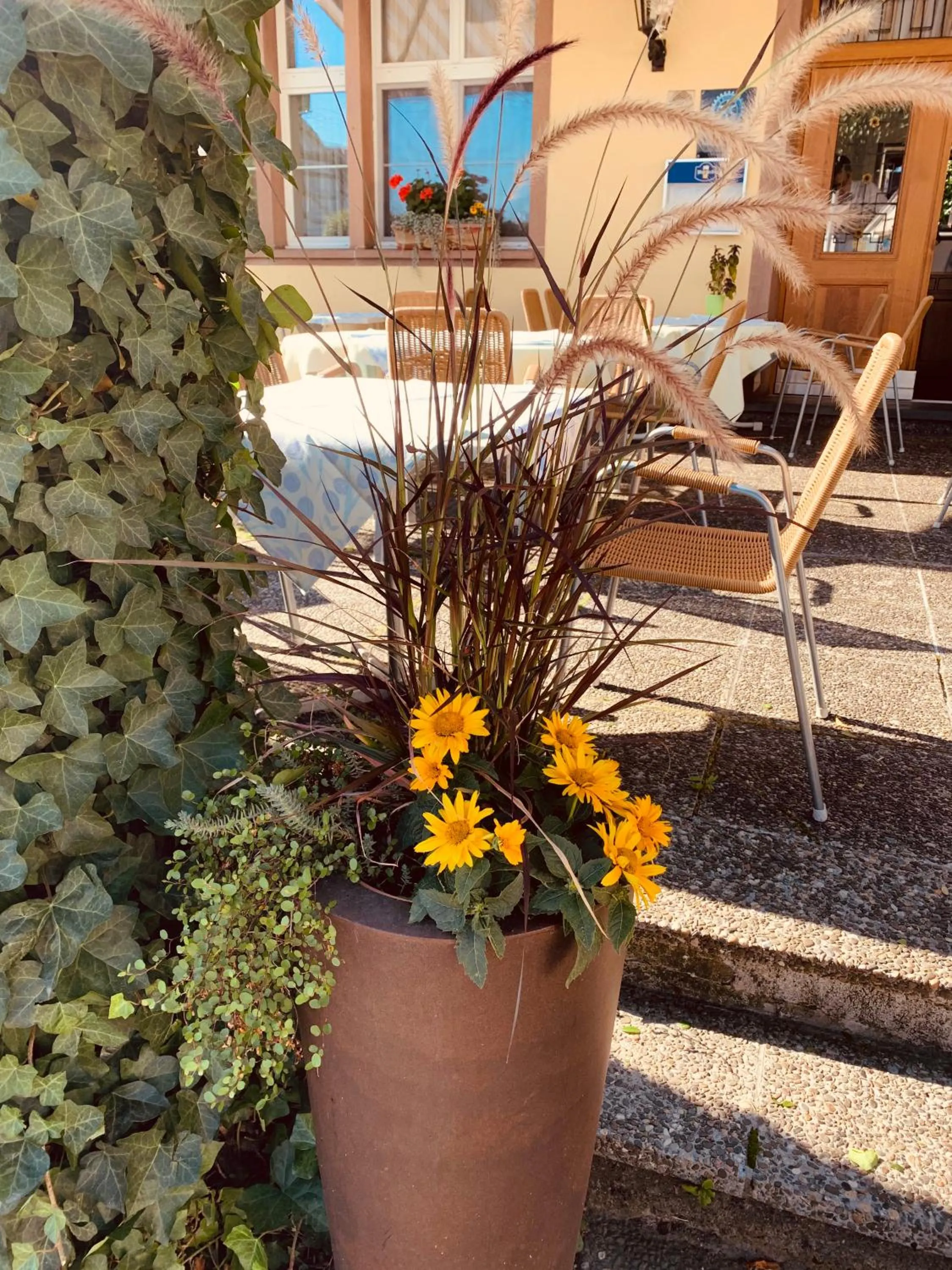 Patio in Hotel Rössli