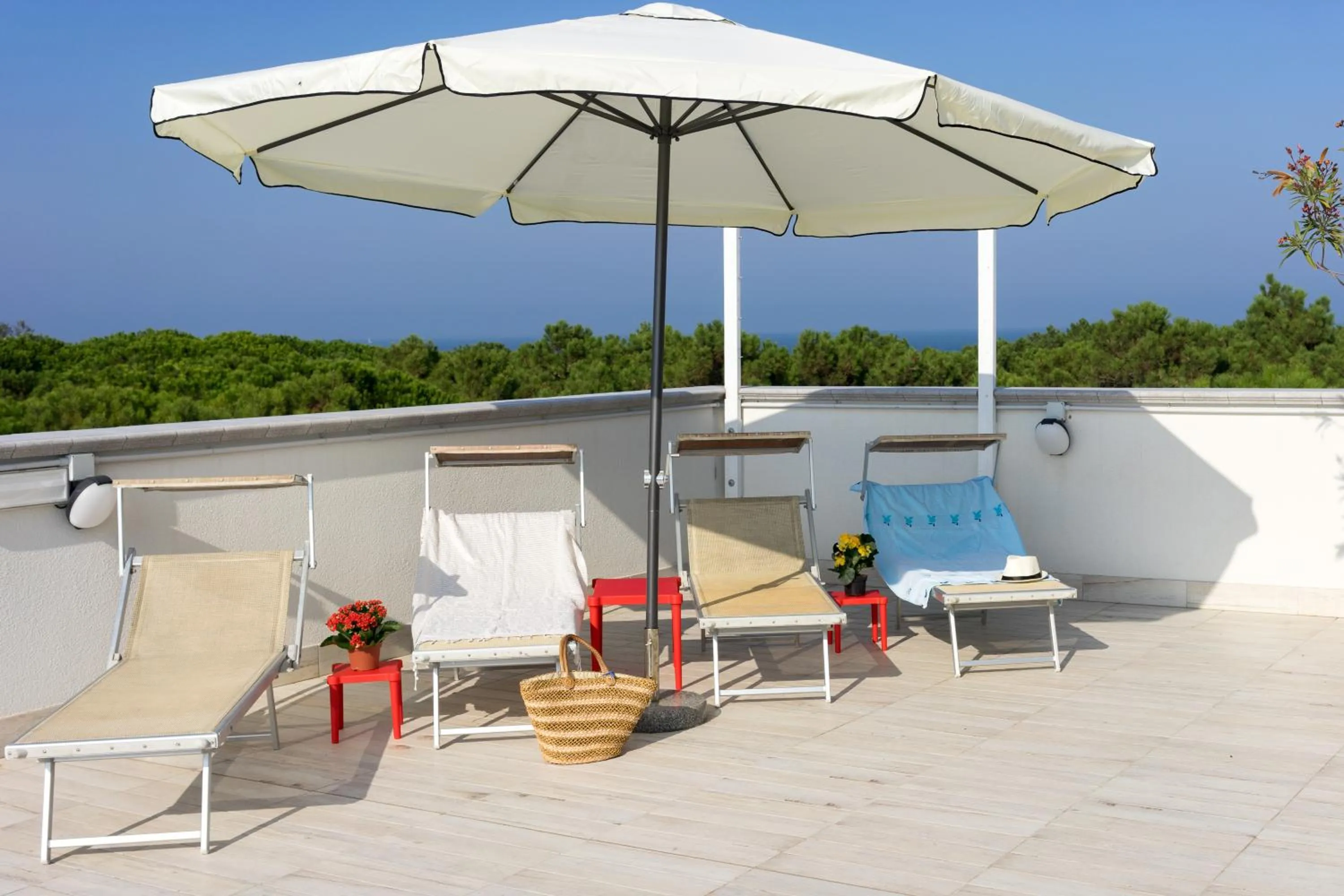 Balcony/Terrace in Regina Hotel e Ristorante