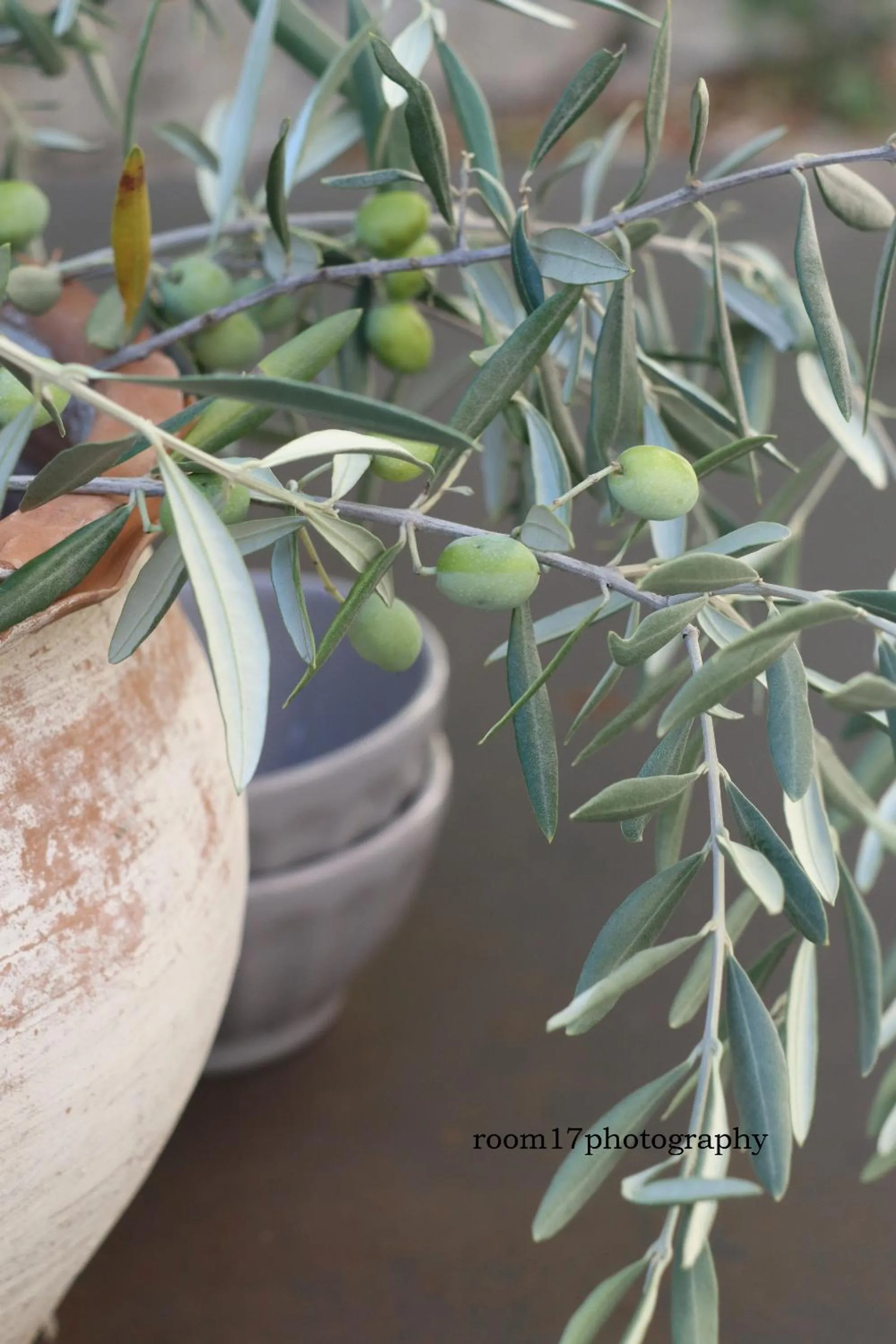 Decorative detail in "Le Vent d'Étoile" B&B and Guesthouses